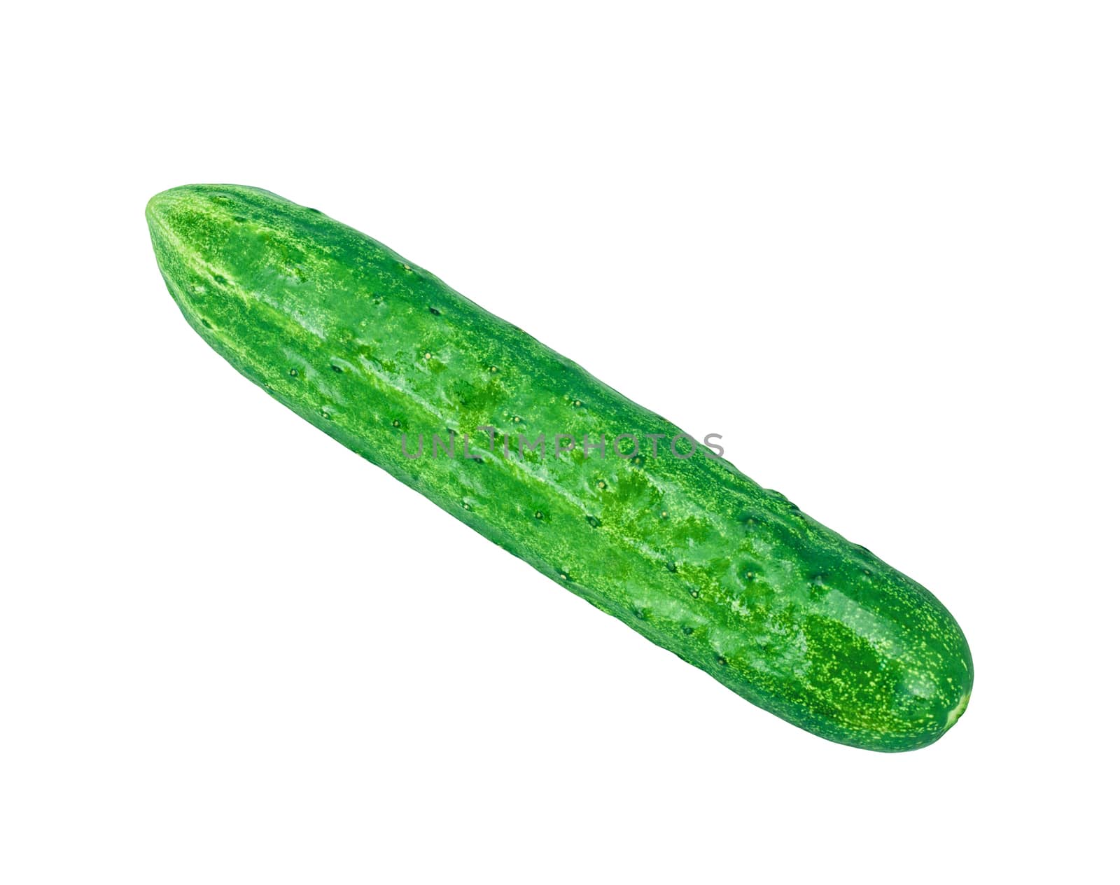 Cucumber isolated on white background