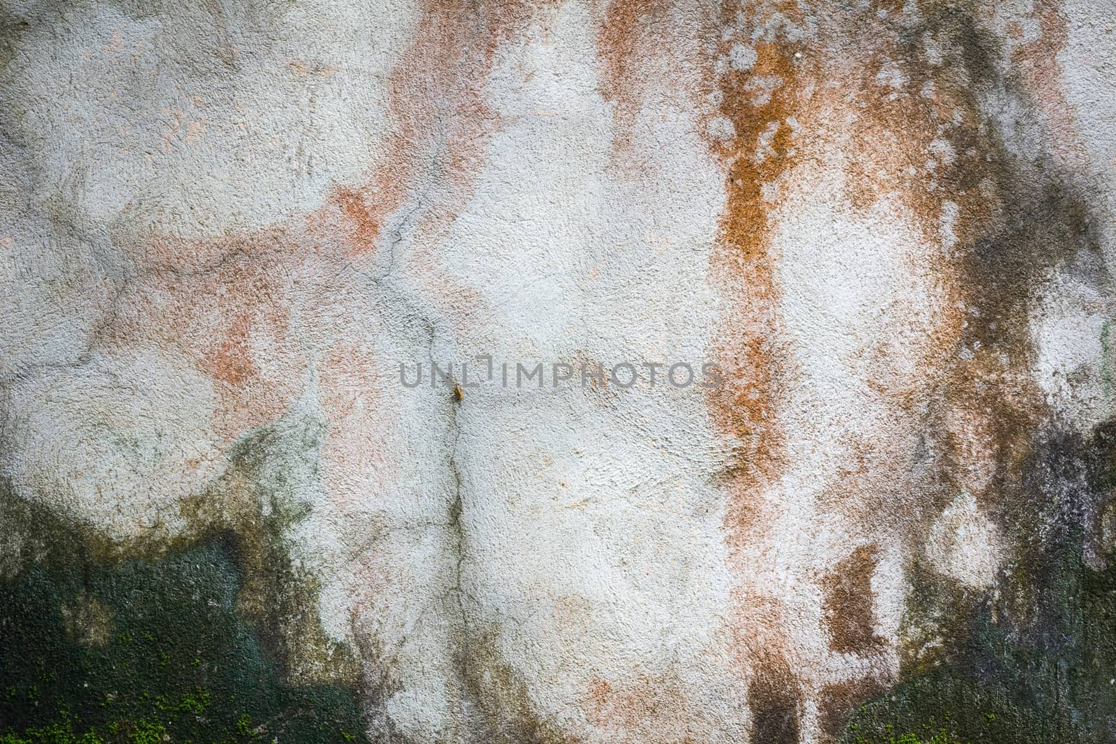 Texture of old concrete grunge wall covered with  moss  as a bac by a3701027