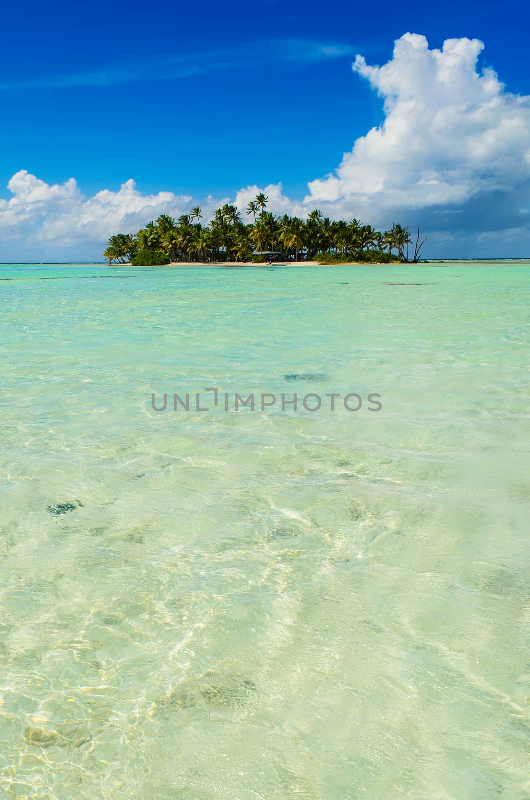 Uninhabited or desert island in the Blue Lagoon inside Rangiroa atoll, an island of the Tahiti archipelago French Polynsesia in the Pacific Ocean.
