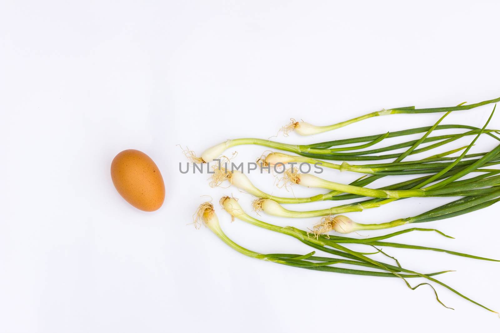 scallions and egg isolated on white background, concept fertilis by a3701027