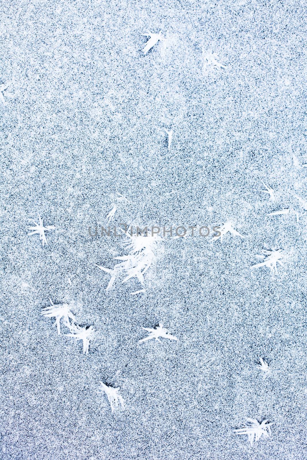 White ice surface with rich texture. Winter background.
