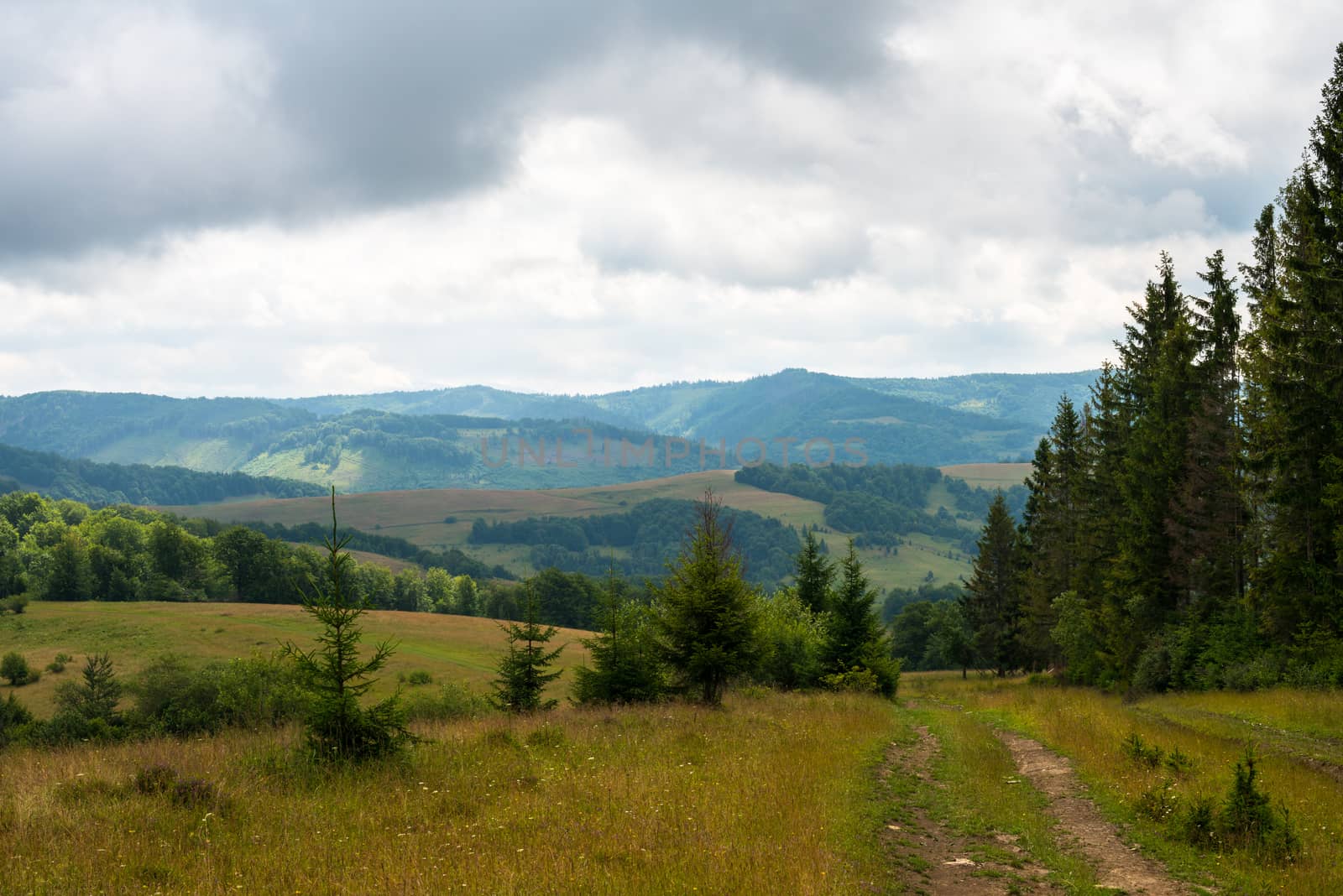 Dirt road against the landscape in the Ukrainian Carpathians by rootstocks