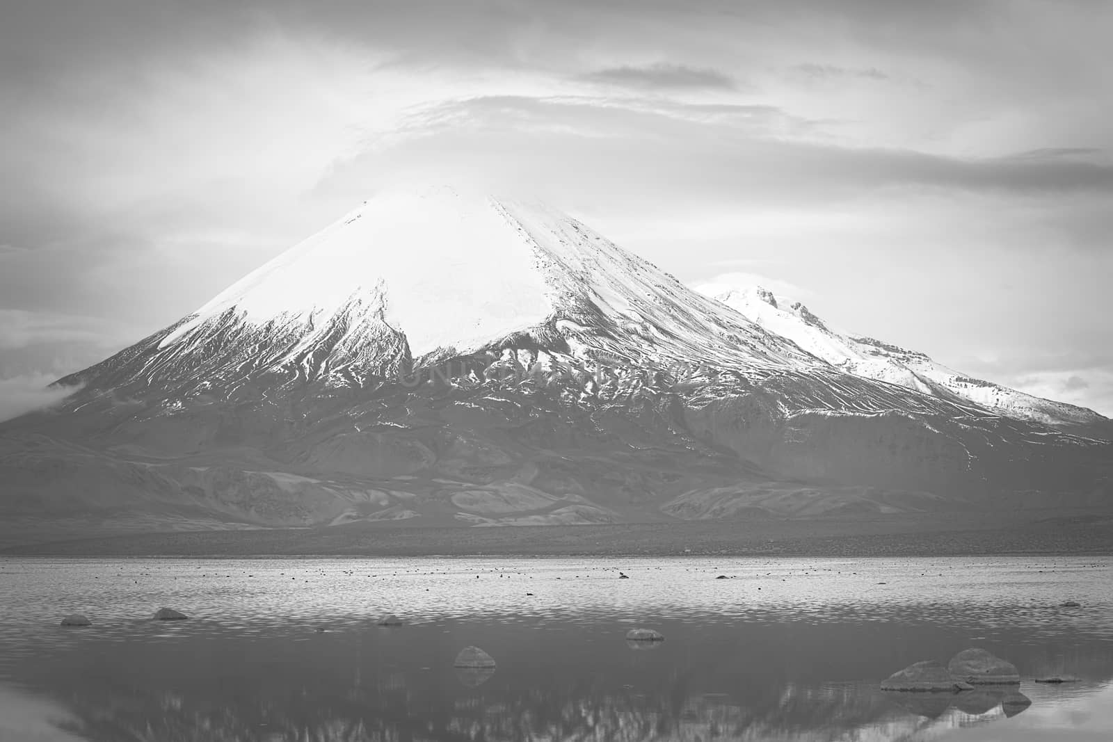 Parinacota stratovolcano (6348 meters) and Chungara Lake on the border of Chile and Bolivia on the way from La Paz to Arica. Parinacota is part of the Payachata volcanic group in Northern Chile. (Monochrome Image)