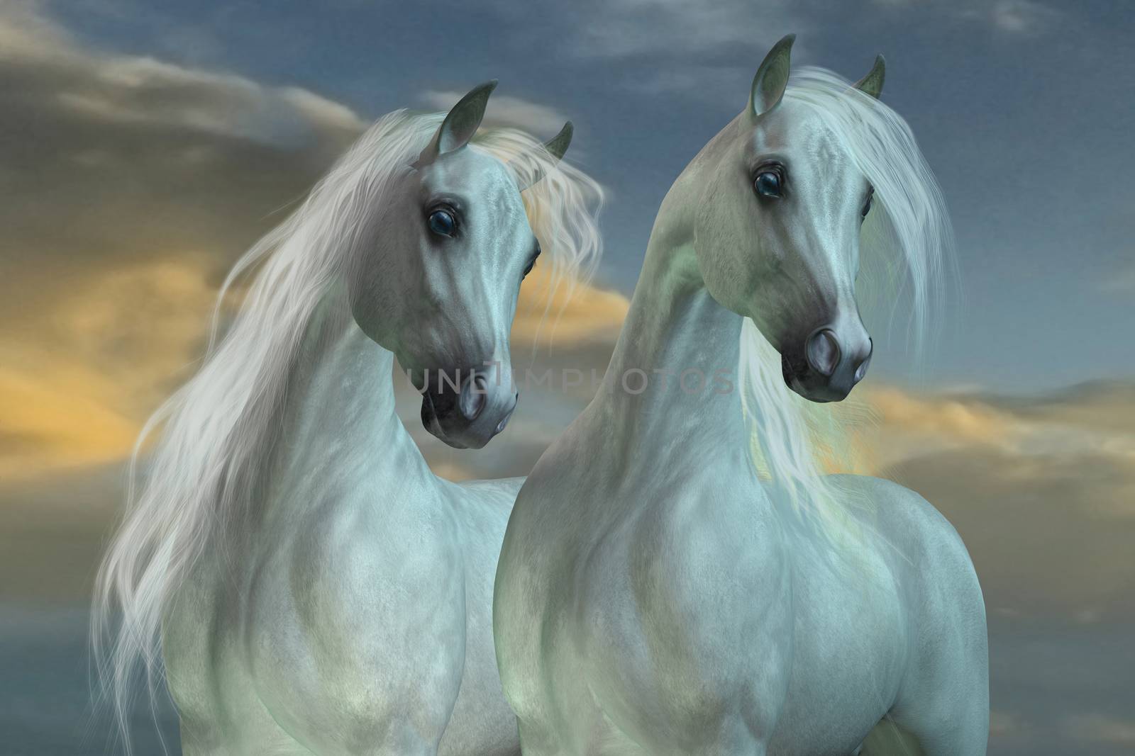 The Arabian horse breed was developed in the deserts of the Arabian Peninsula.