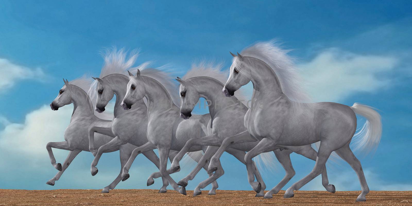 A herd of beautiful white Arabian horses in a wild desert environment.