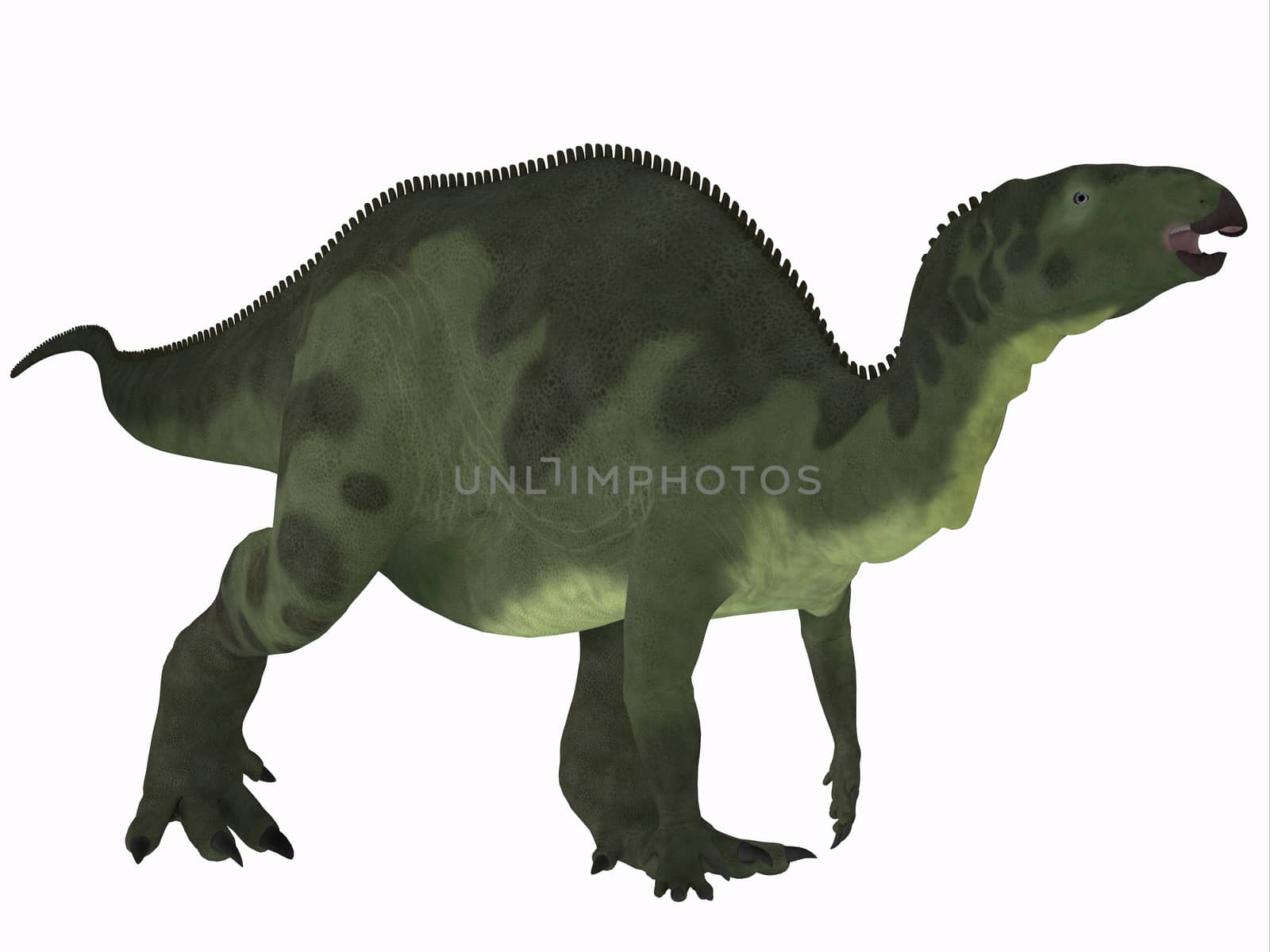 Camptosaurus over White by Catmando