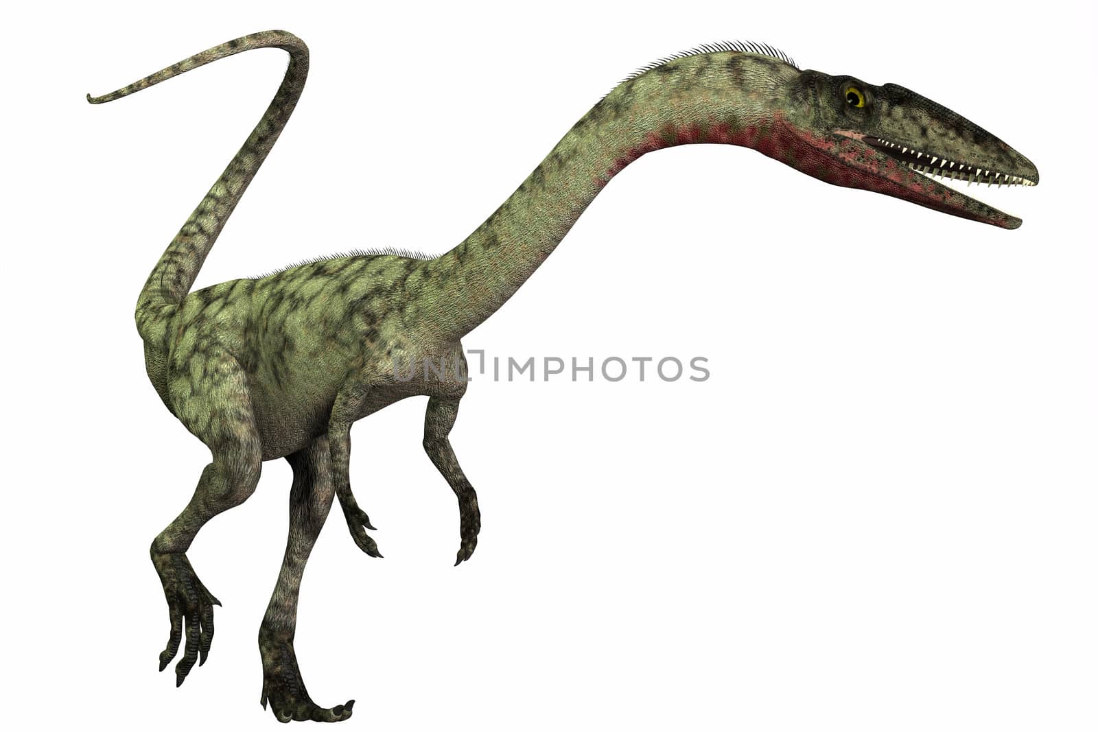 Coelophysis was a bipedal predatory dinosaur that lived during the Triassic Period of North America.