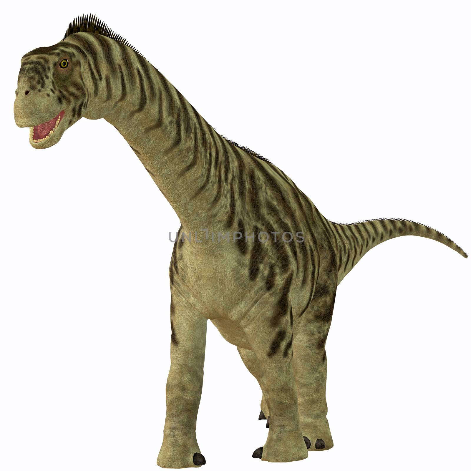 Camarasaurus was a sauropod herbivore dinosaur that lived in the Jurassic Era of North America.