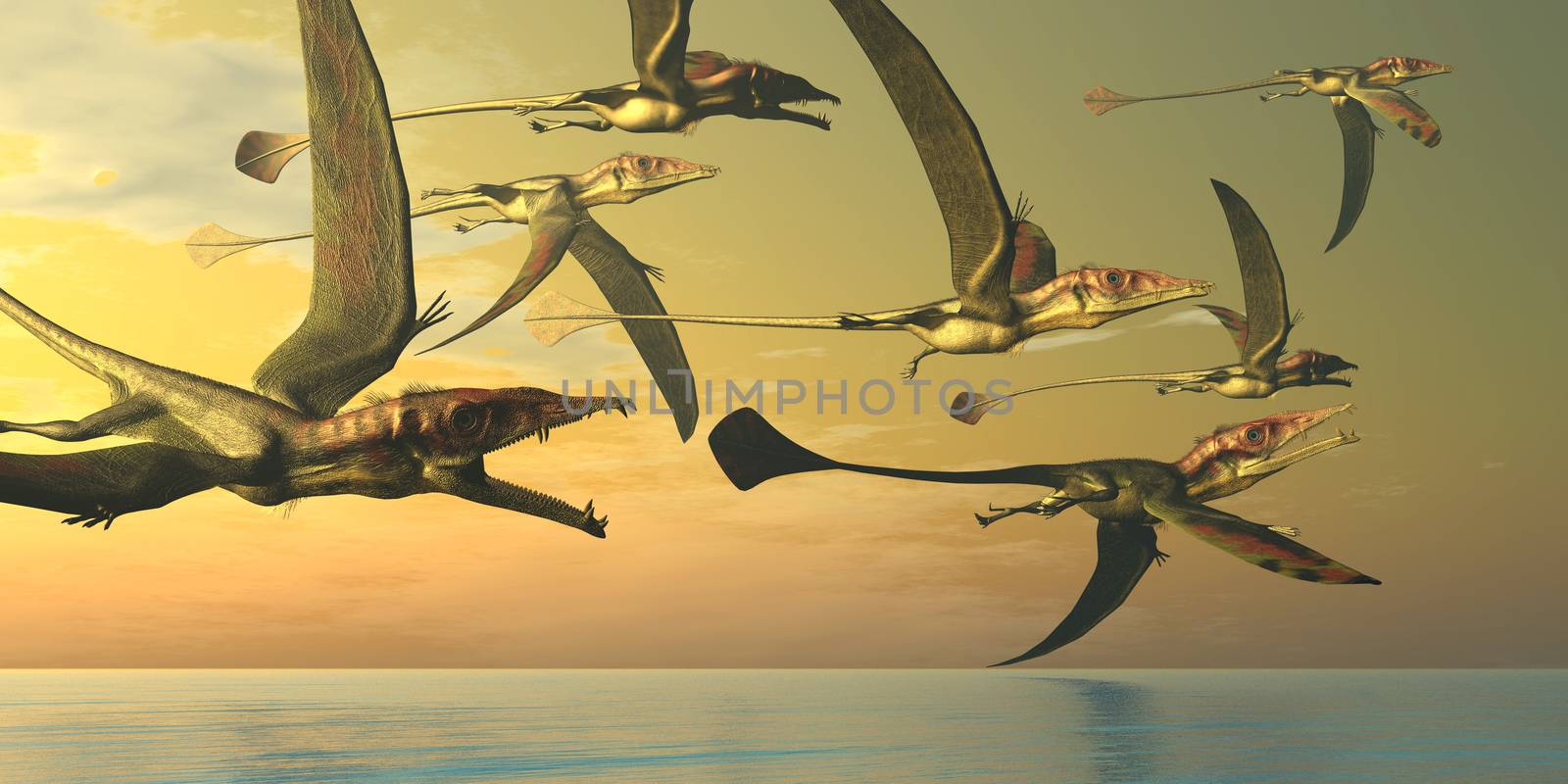 A flock of Eudimorphodon flying reptiles search for fish prey in the Triassic Era.