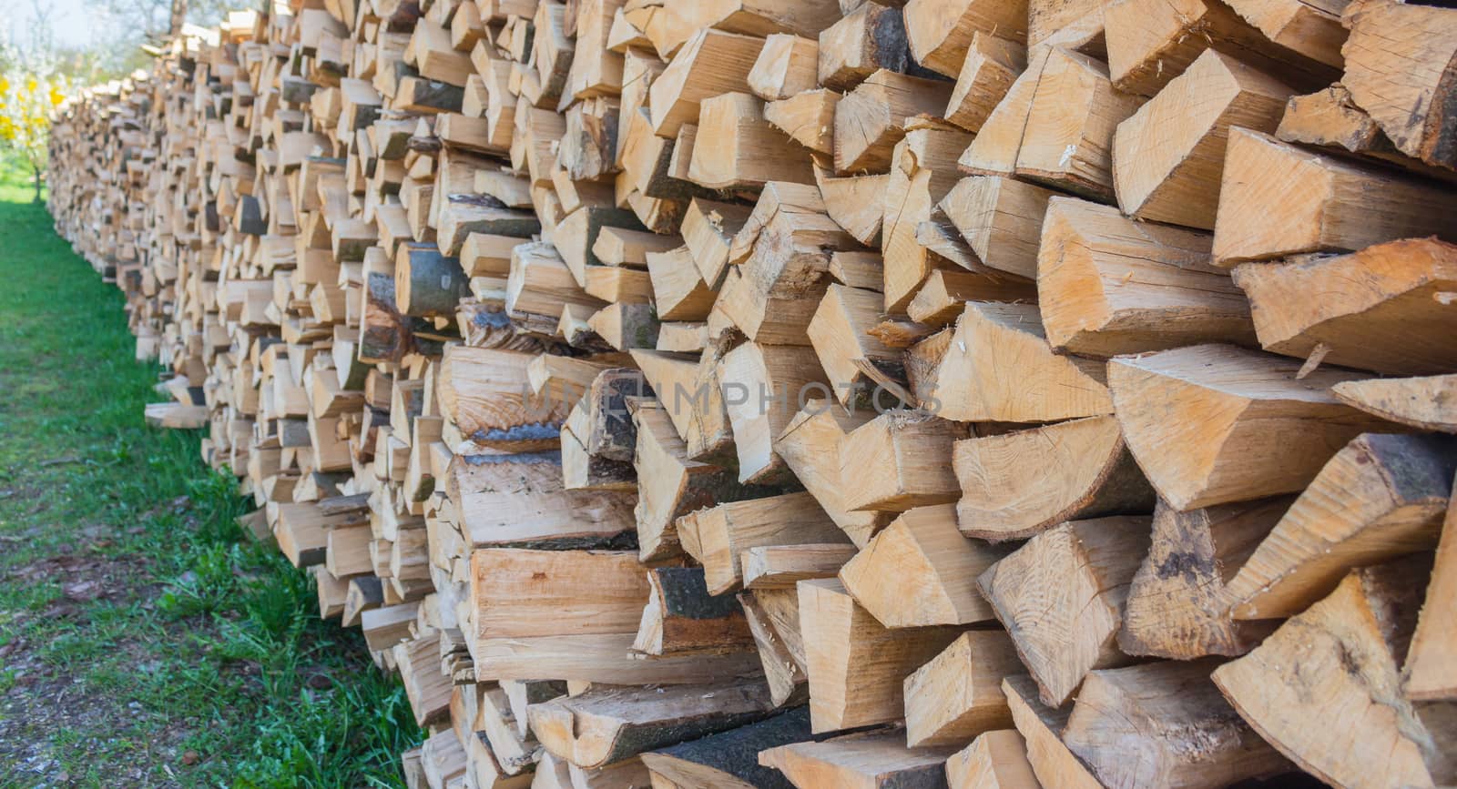 Firewood from Styria,outdoor shot