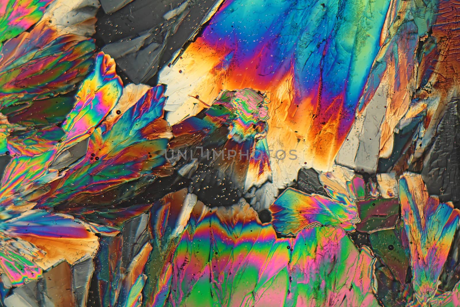 Sugar crystals under the microscope