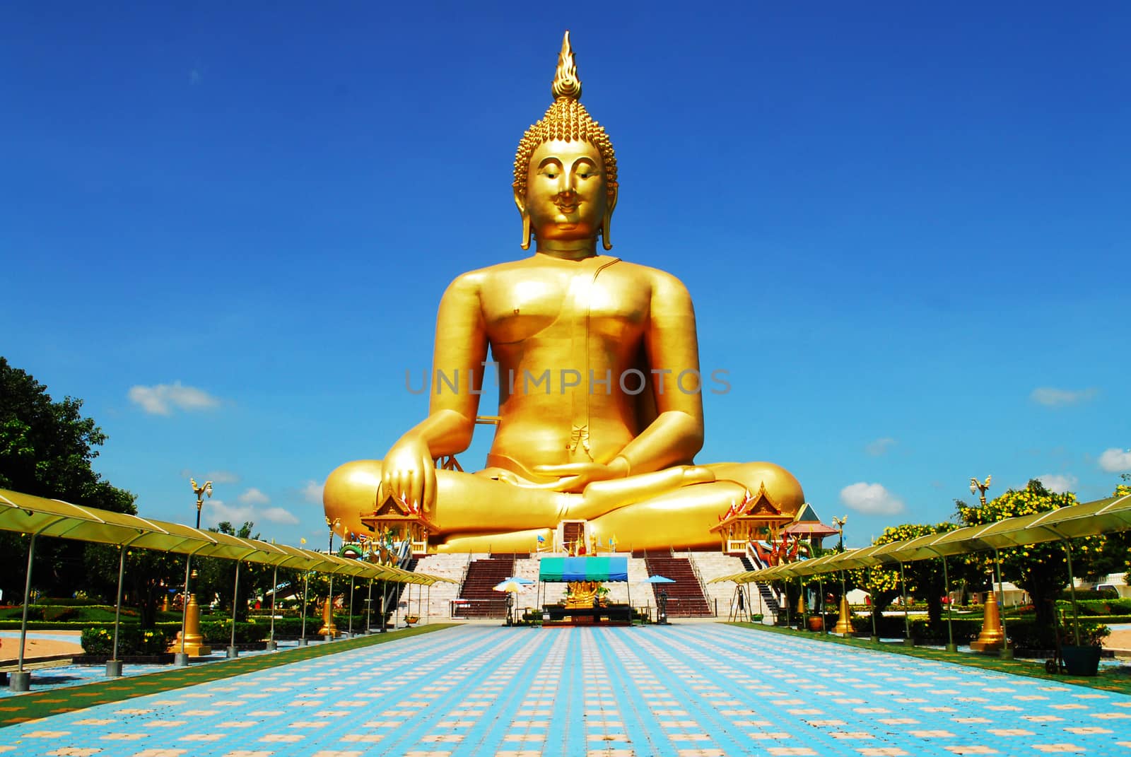 A big golden Buddha Image in the temple.







A Golden Buddha Image