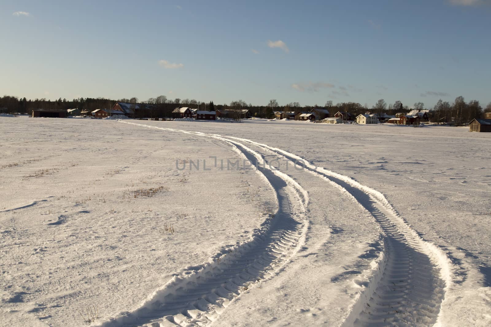 Tractor Tracks in Winter Field
