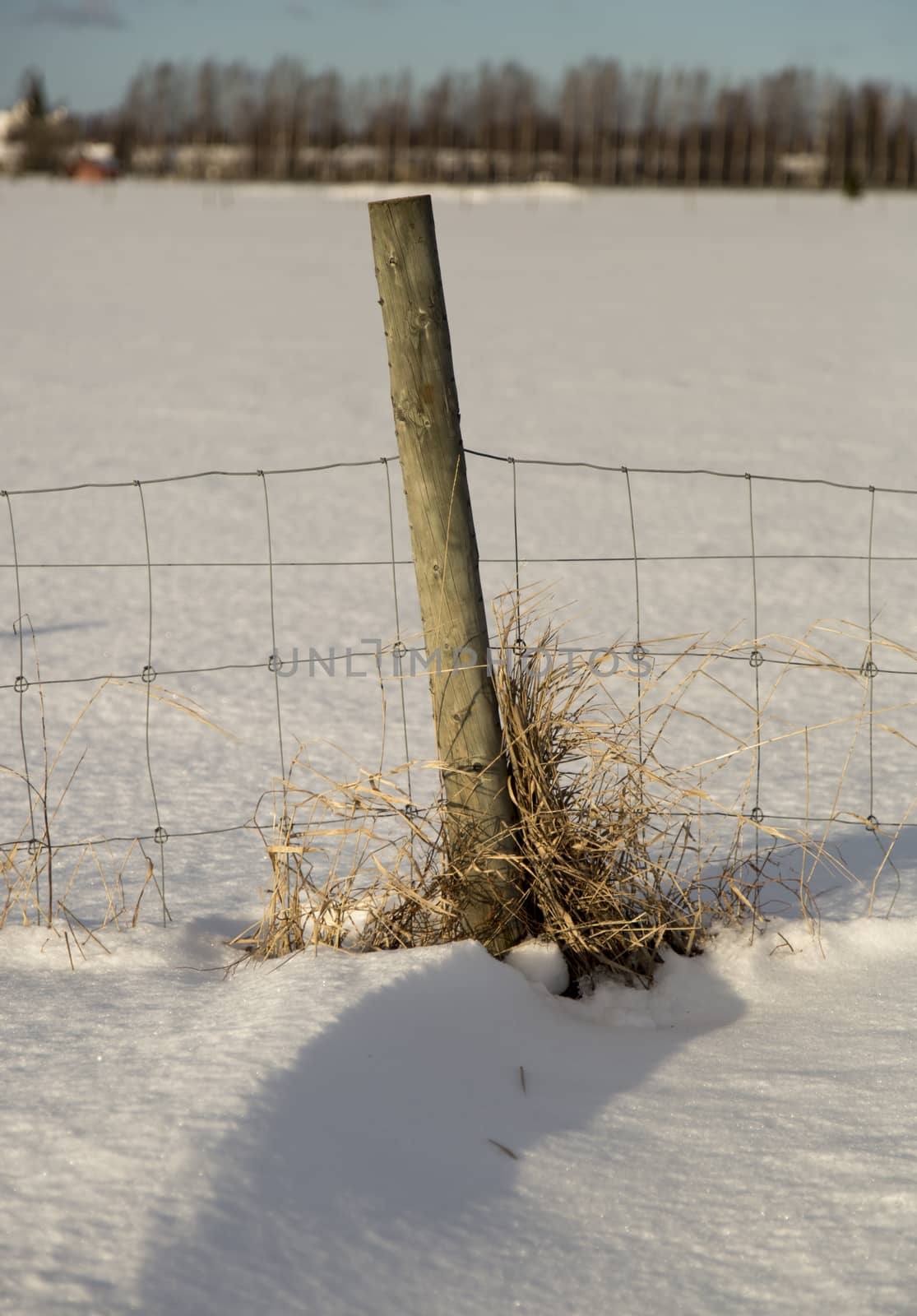 Wooden Pole with Metal Fence