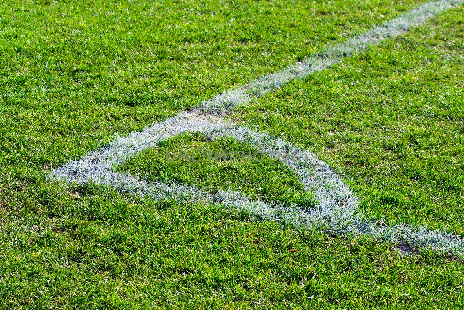 corner point on the football field soccer