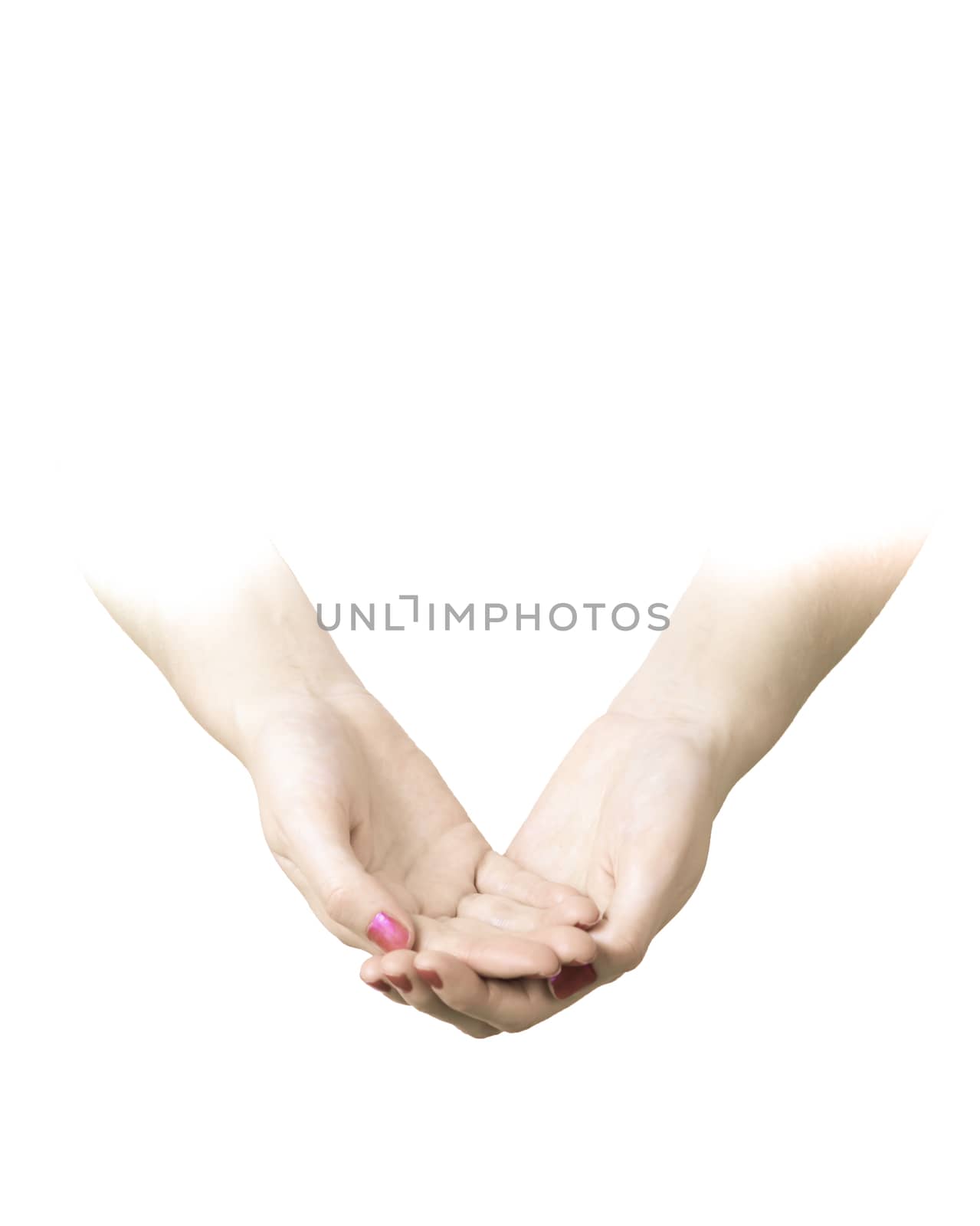 Open Palms Isolated