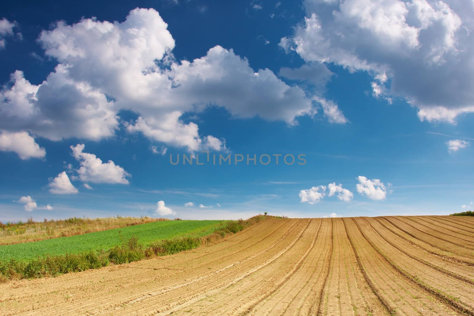 Summer blue sky over a plowed field