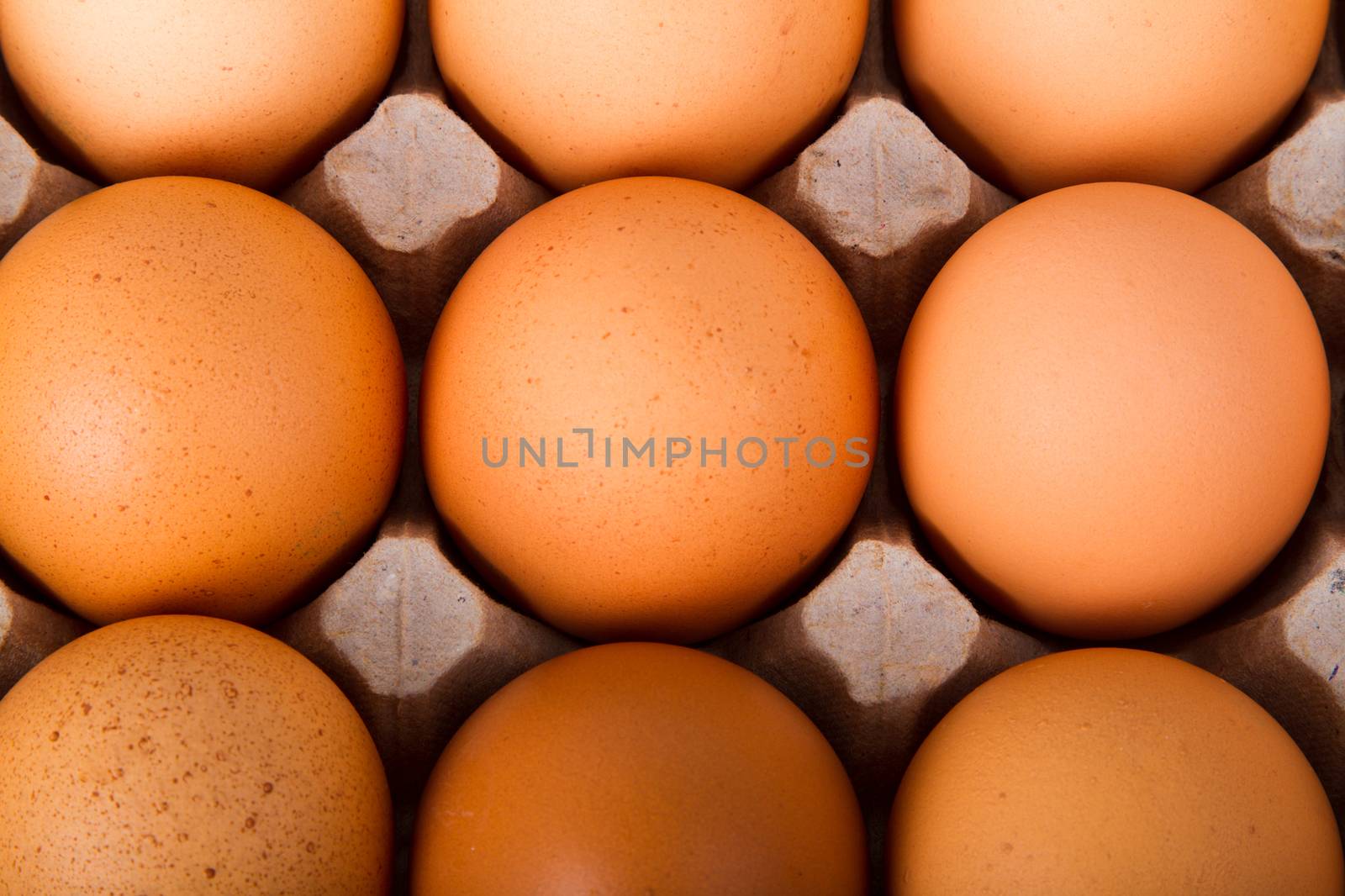 Brown eggs in a carton. Isolated on a white background