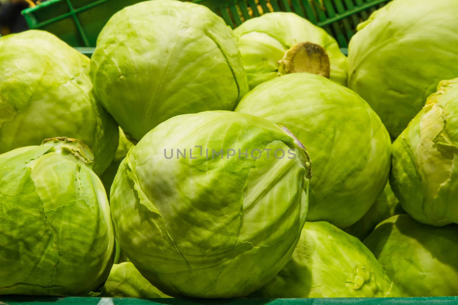 A bunch of fresh cabbage. Grocery Store.