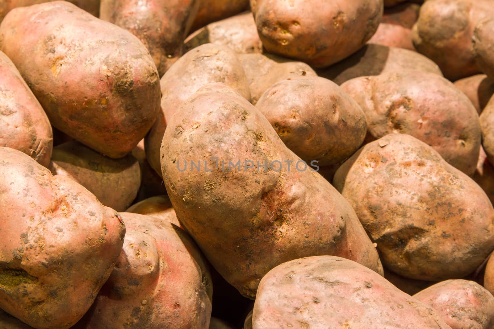 Potatoes in market by grigorenko
