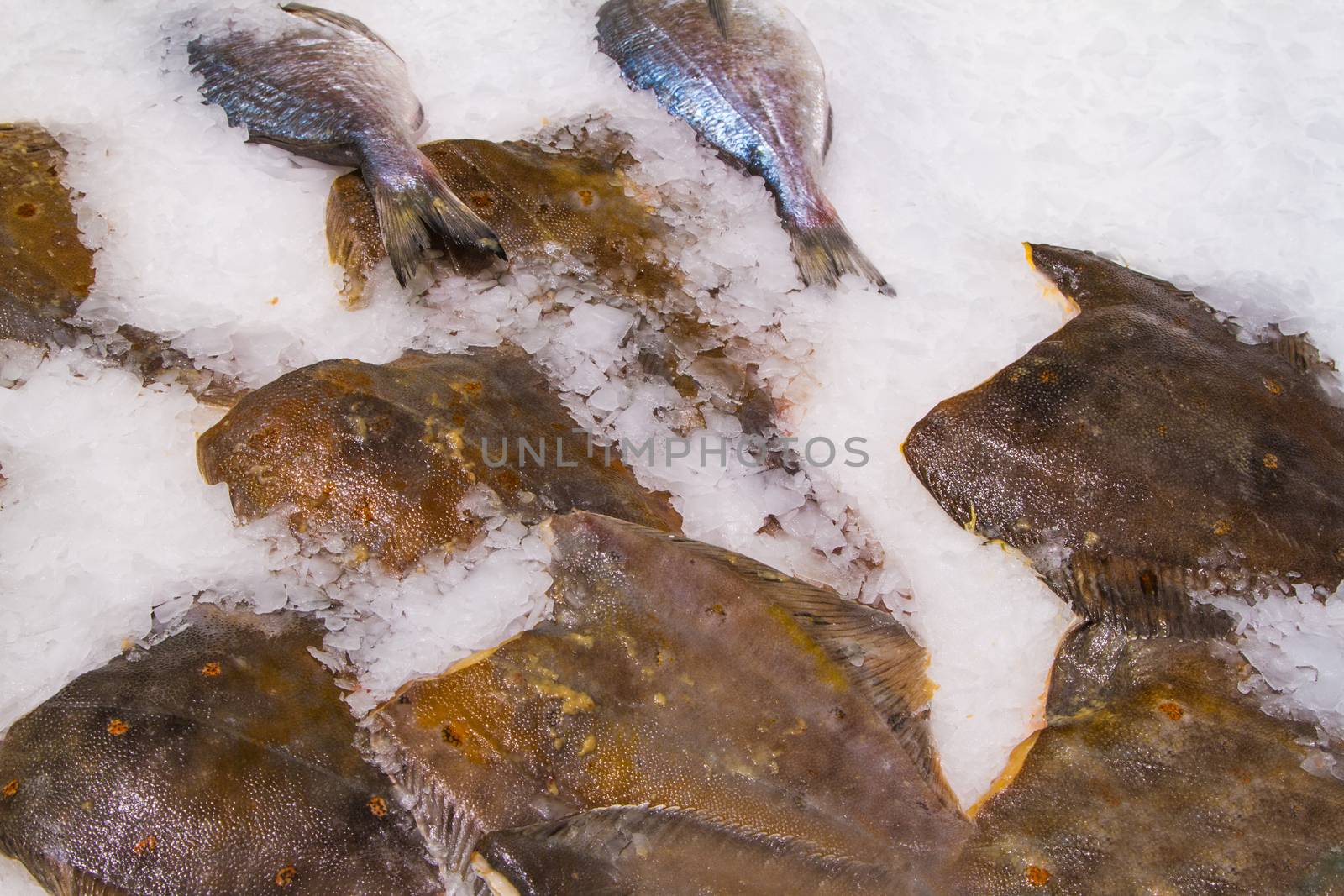 Fresh fish on ice decorated for sale at market