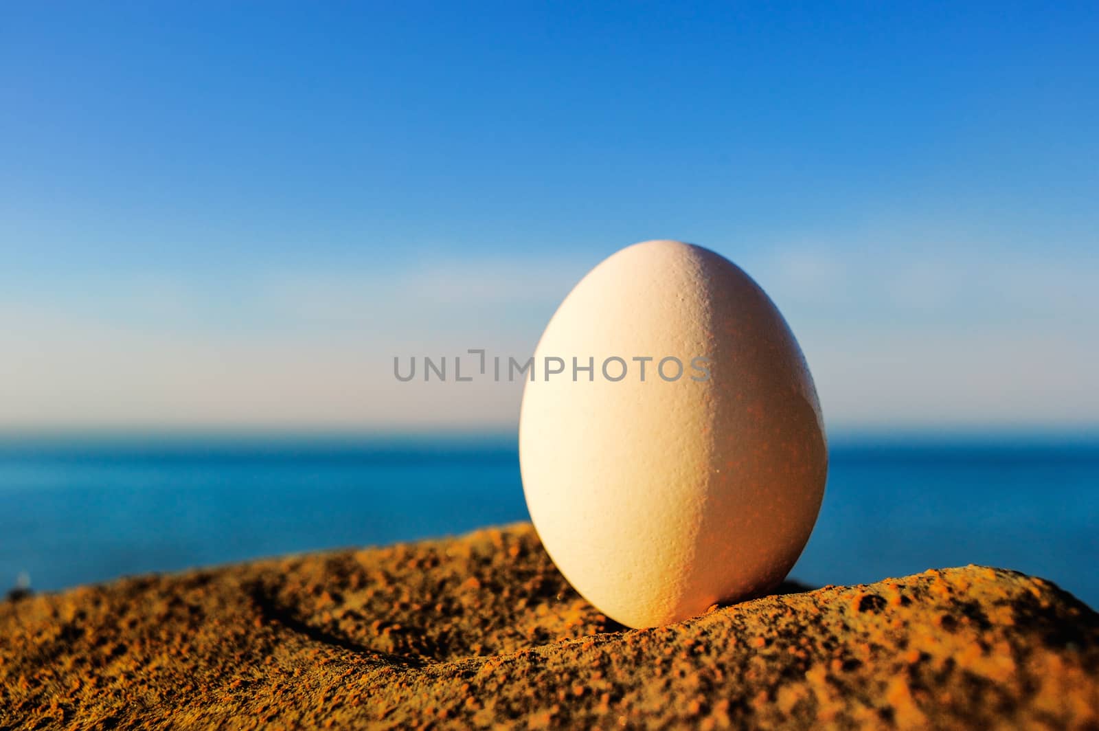 Close-up of an egg on the seashore