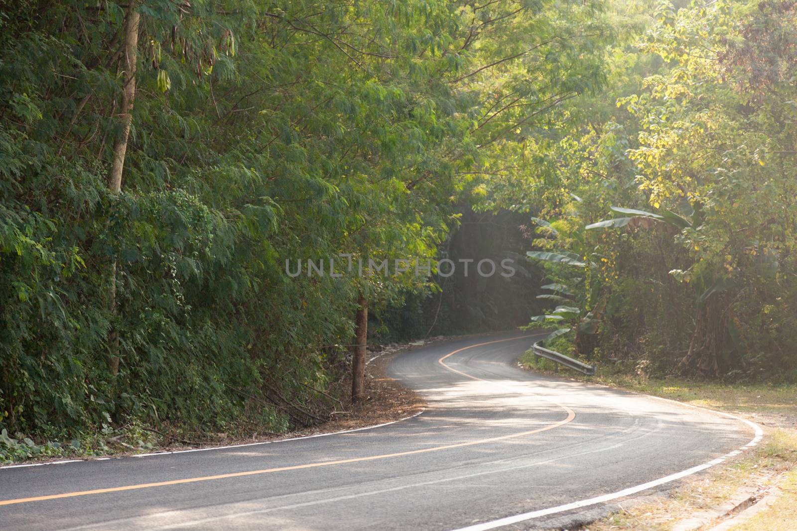 Curvy road down the hill. Road curving down from the mountain. There are more trees on either side of the road.