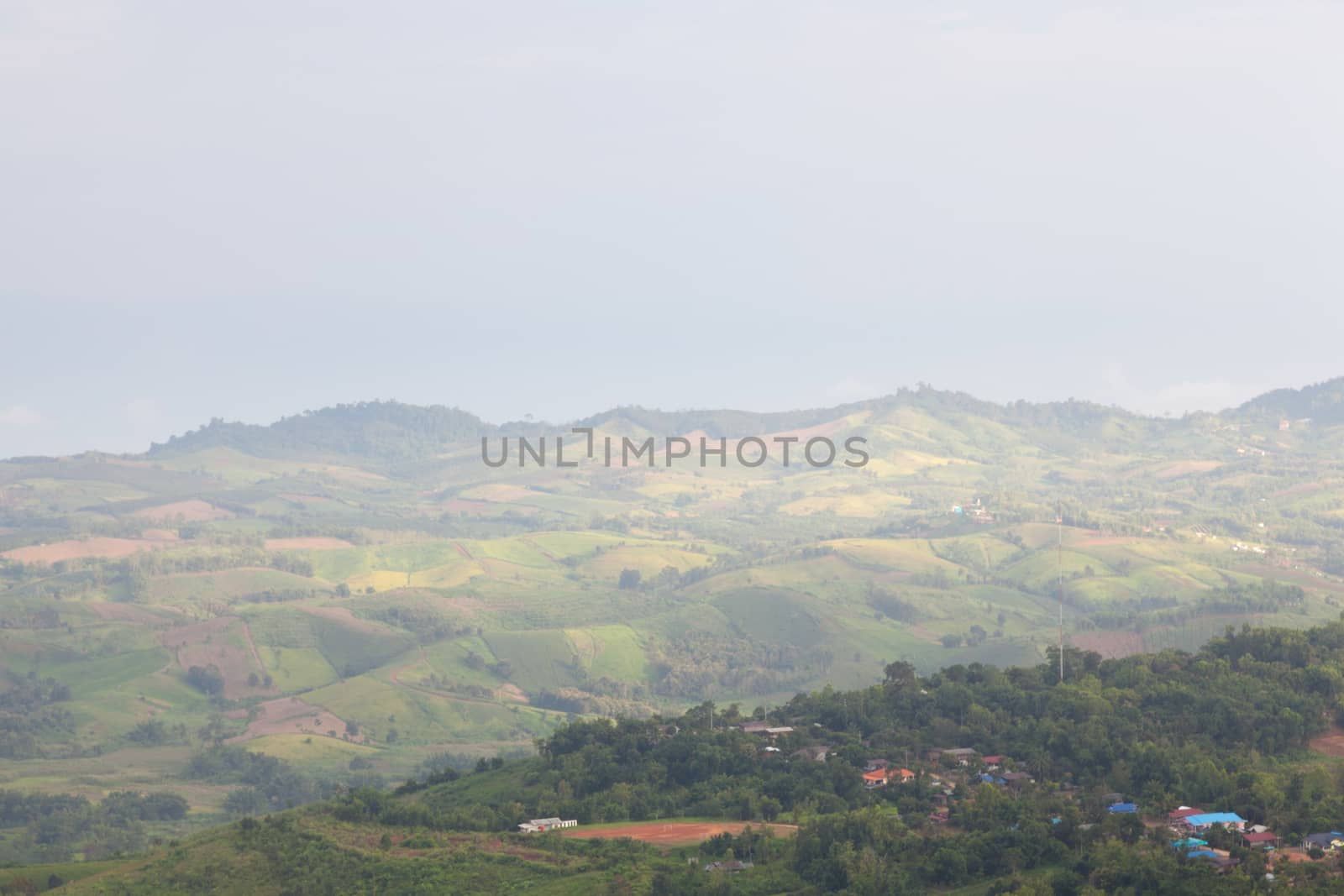 Agricultural areas in the mountains. Zoning, agricultural plantations on forest land from the villagers.