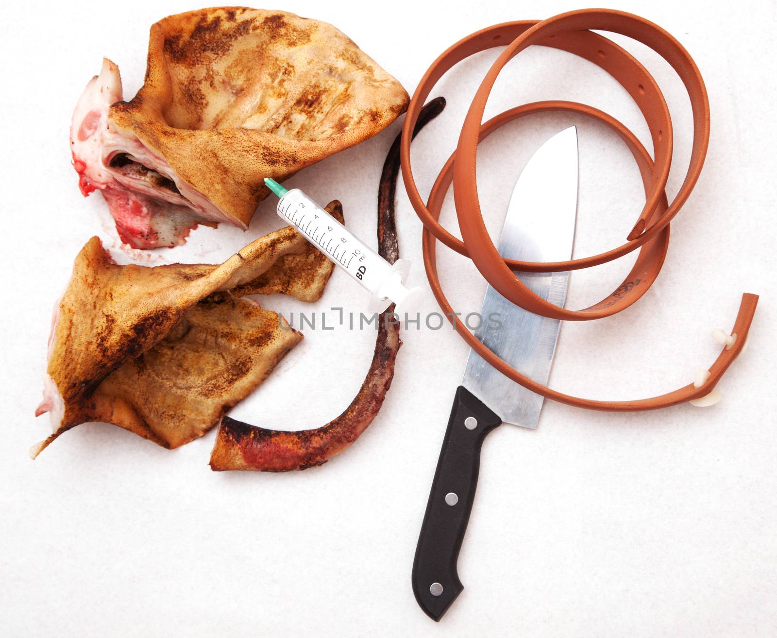 pork ears with knife and blood white background. by sarymsakov