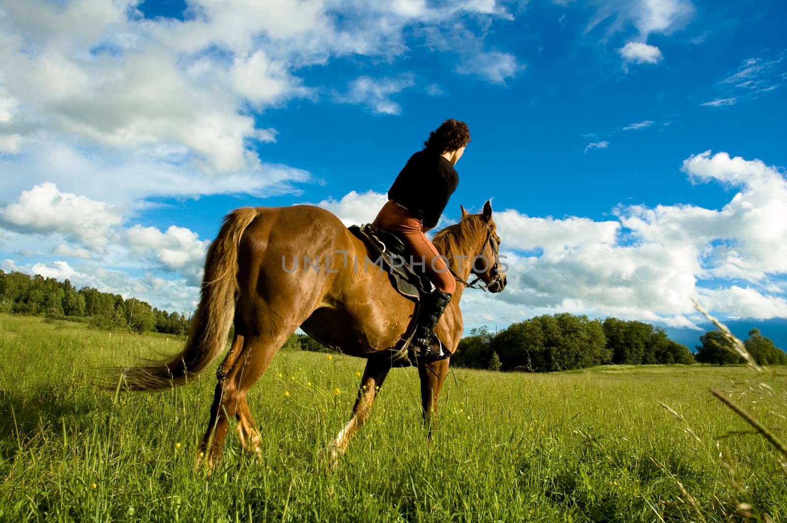 Woman ride on the horse in nature