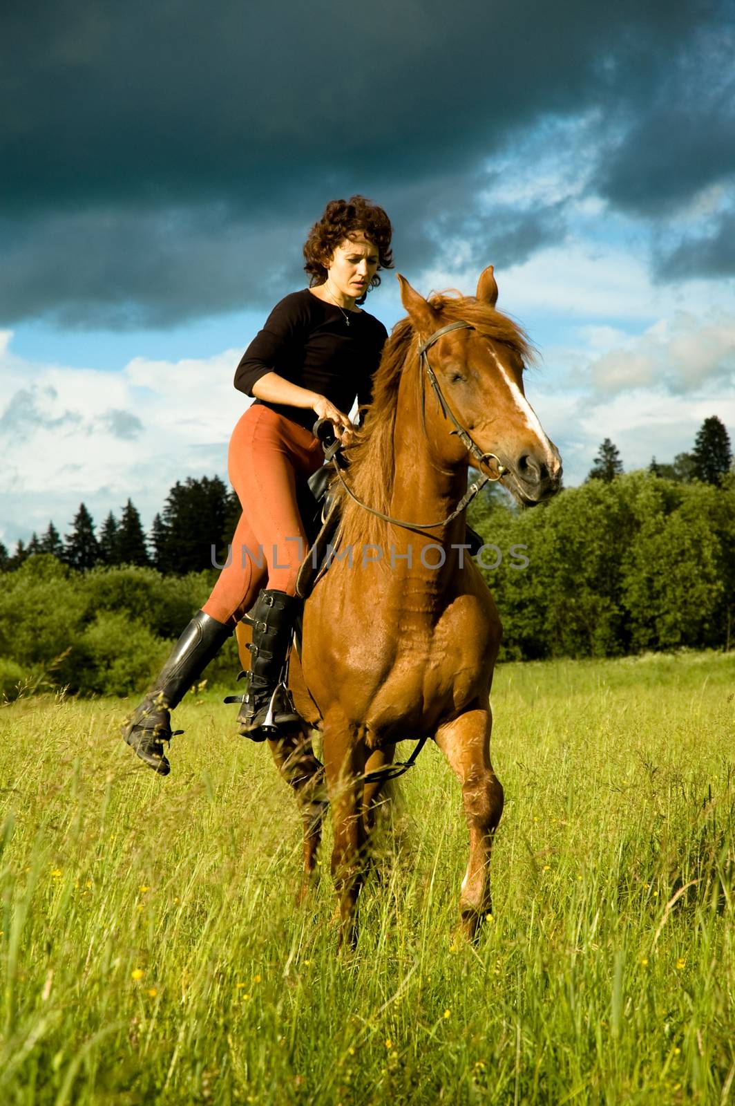 Woman ride on the horse in nature