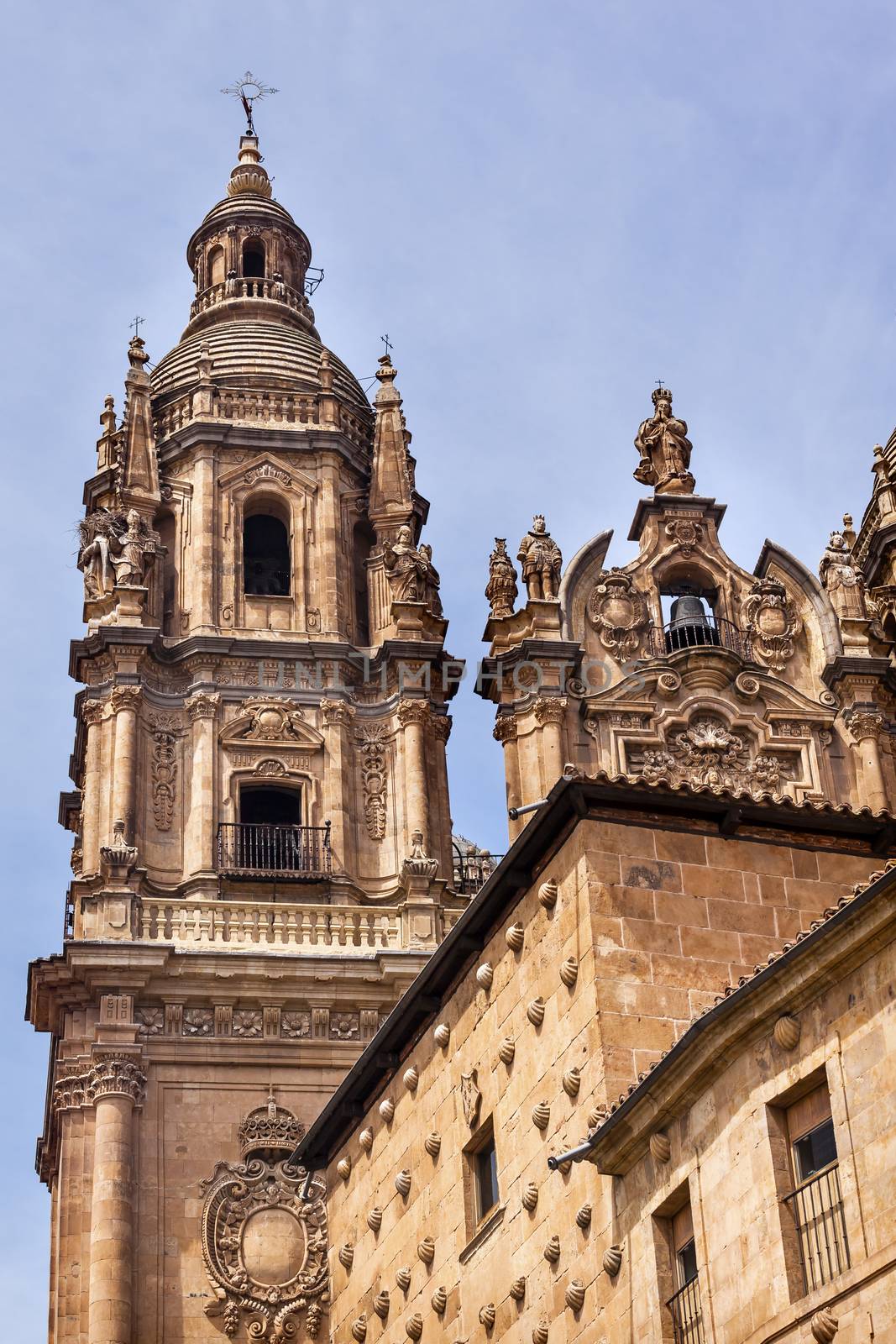 Stone Tower New Salamanca Cathedral Spain by bill_perry