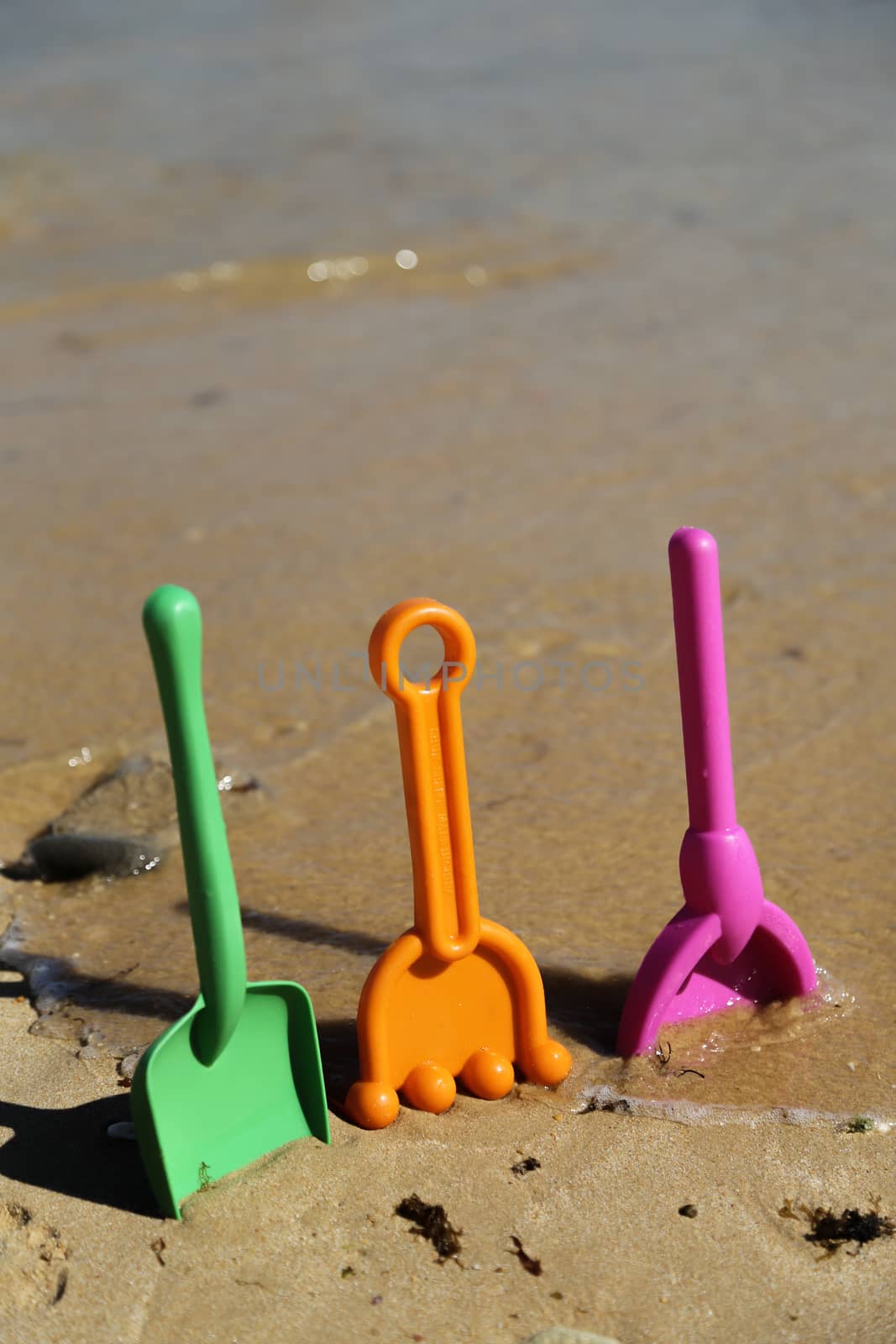 Plastic beach shovels in sand on a beach.