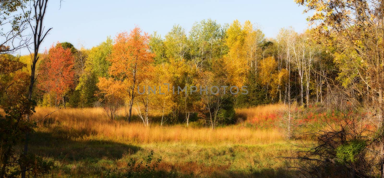 Colorful scenic Landscape in High Dynamic Range in soft focus