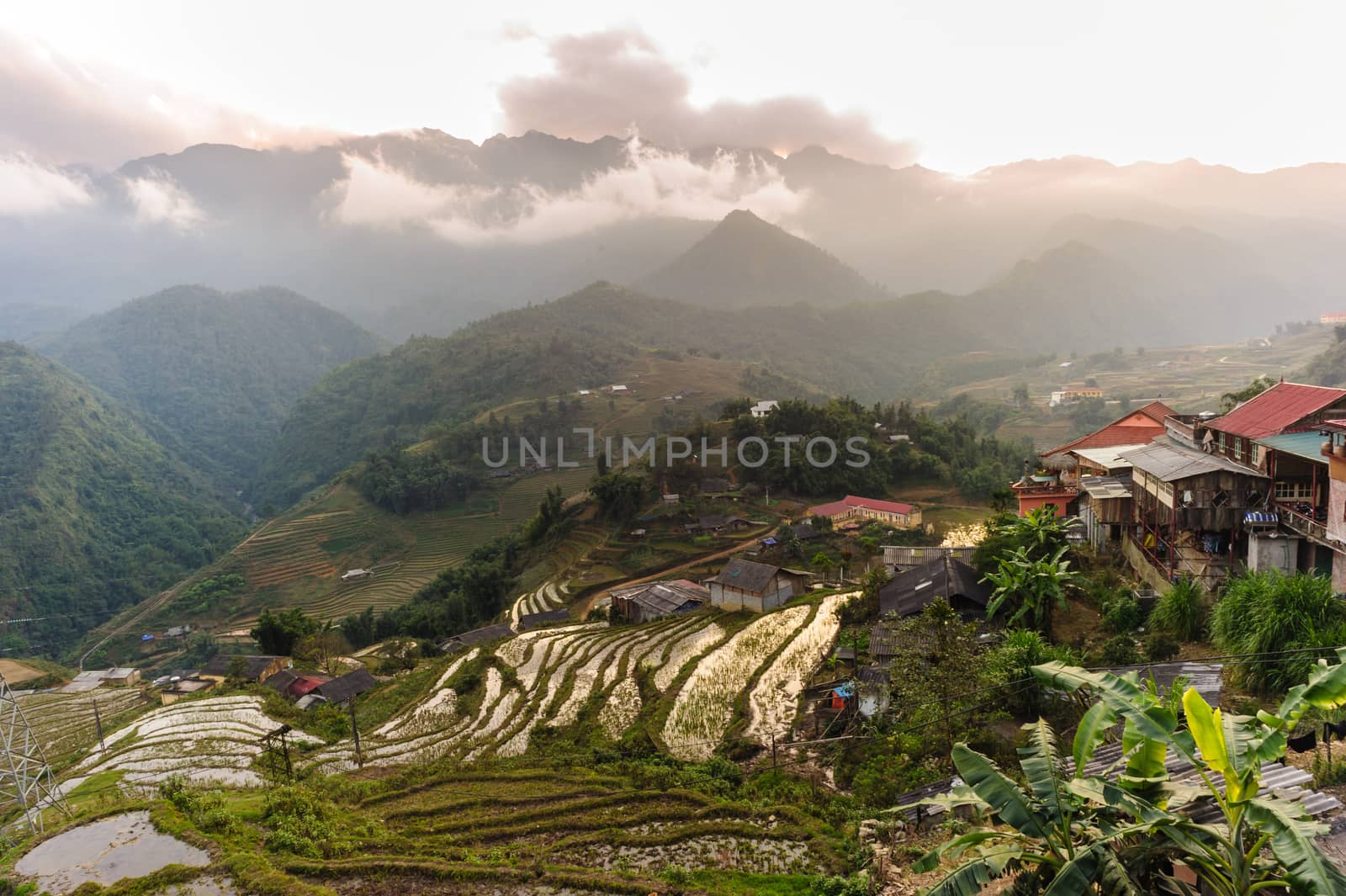Sunset at terraced of  Cat Cat Village,Vietnam. by ngungfoto