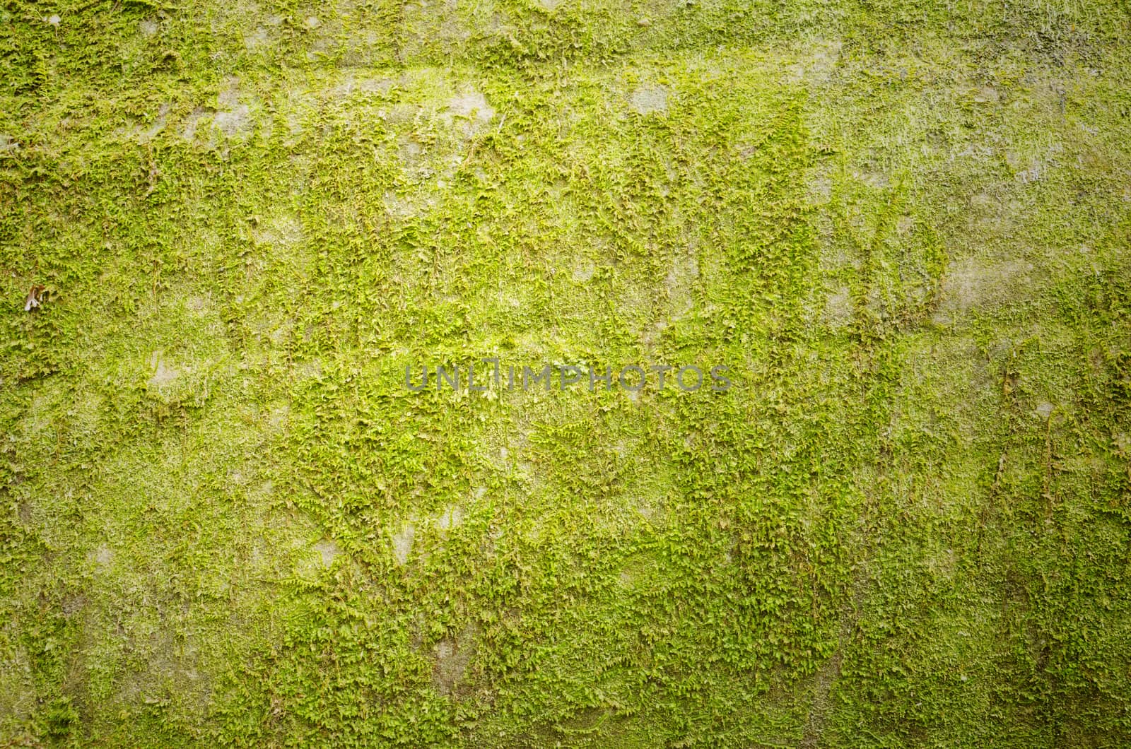 wall background
