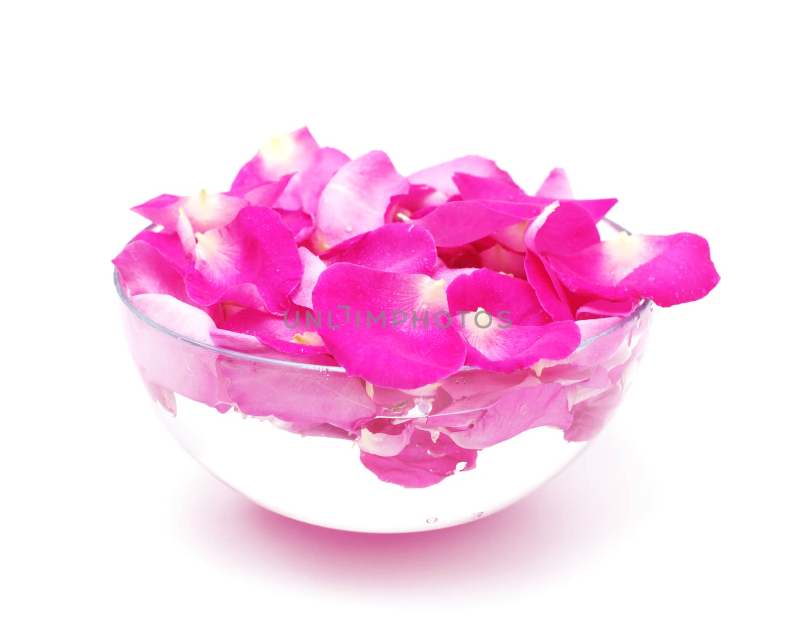 Petals of pink roses in glass bowl with water by HGalina