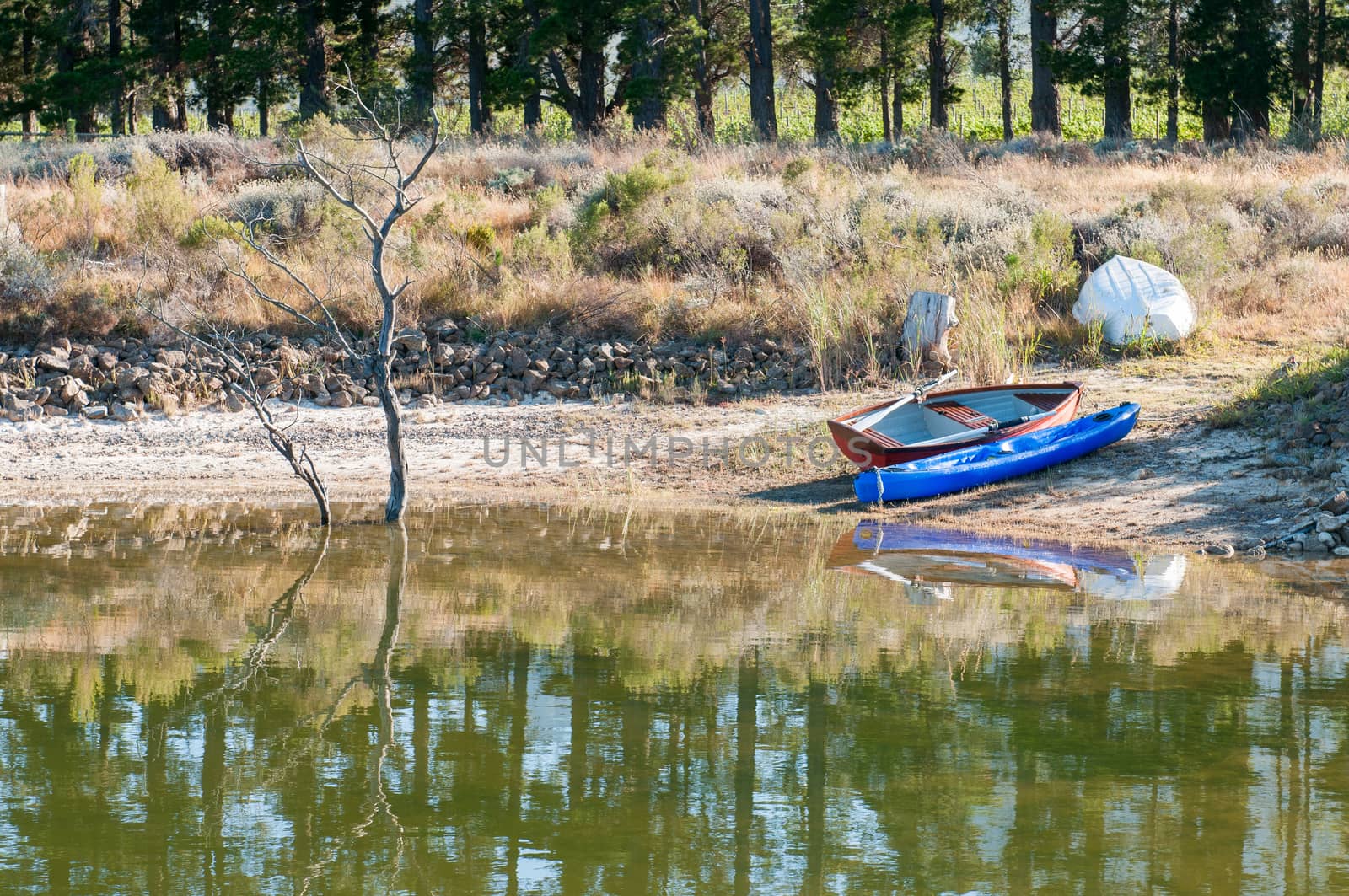 Canoe and rowing boats at a dam near Somerset West in the Western Cape Province of South Africa
