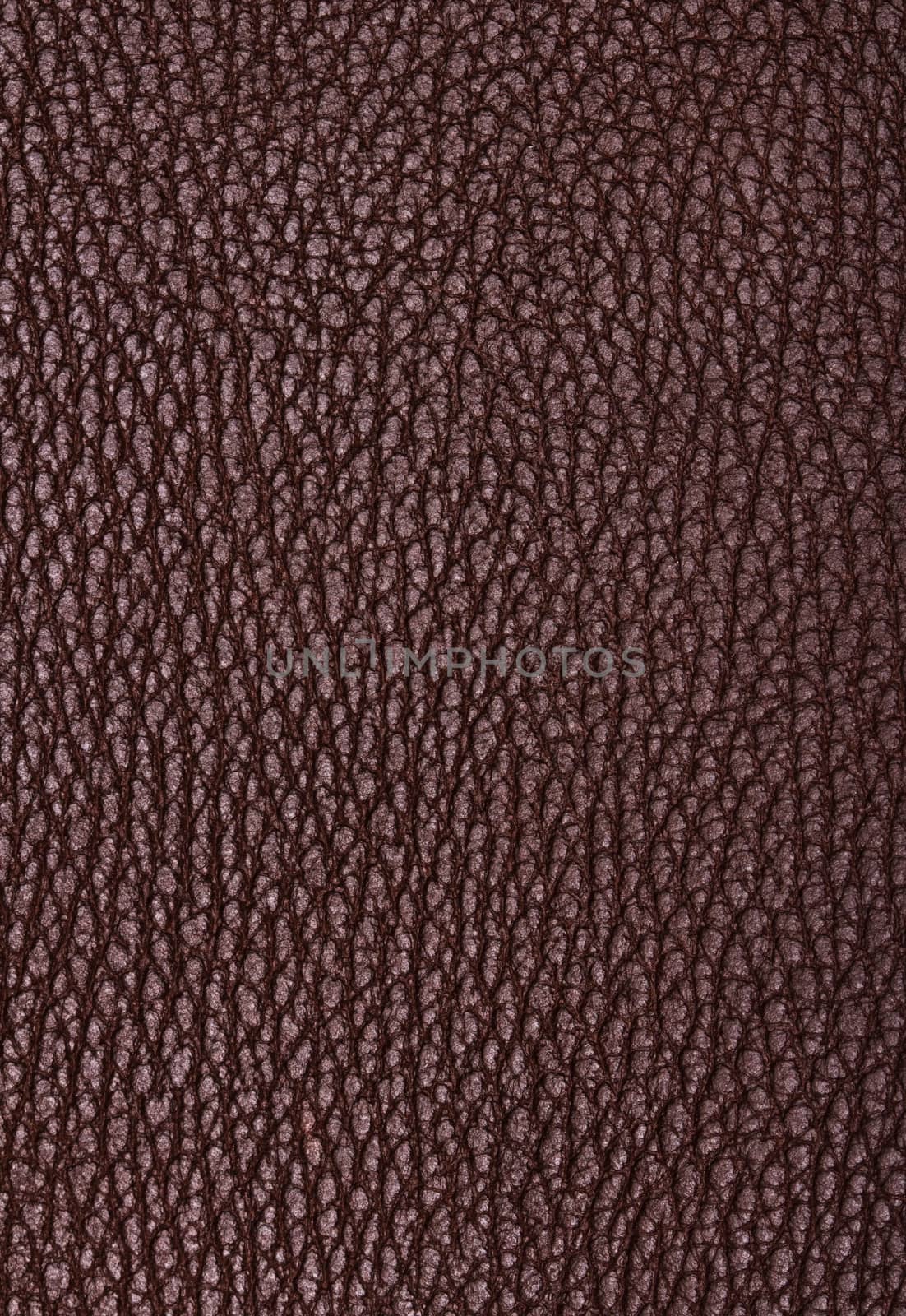 Natural qualitative brown leather texture. Close up.