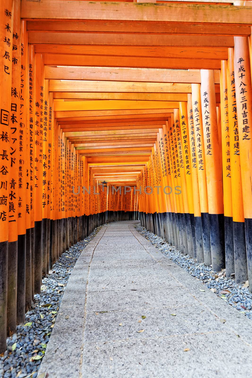 Fushimi Inari Taisha Shrine in Kyoto by cozyta