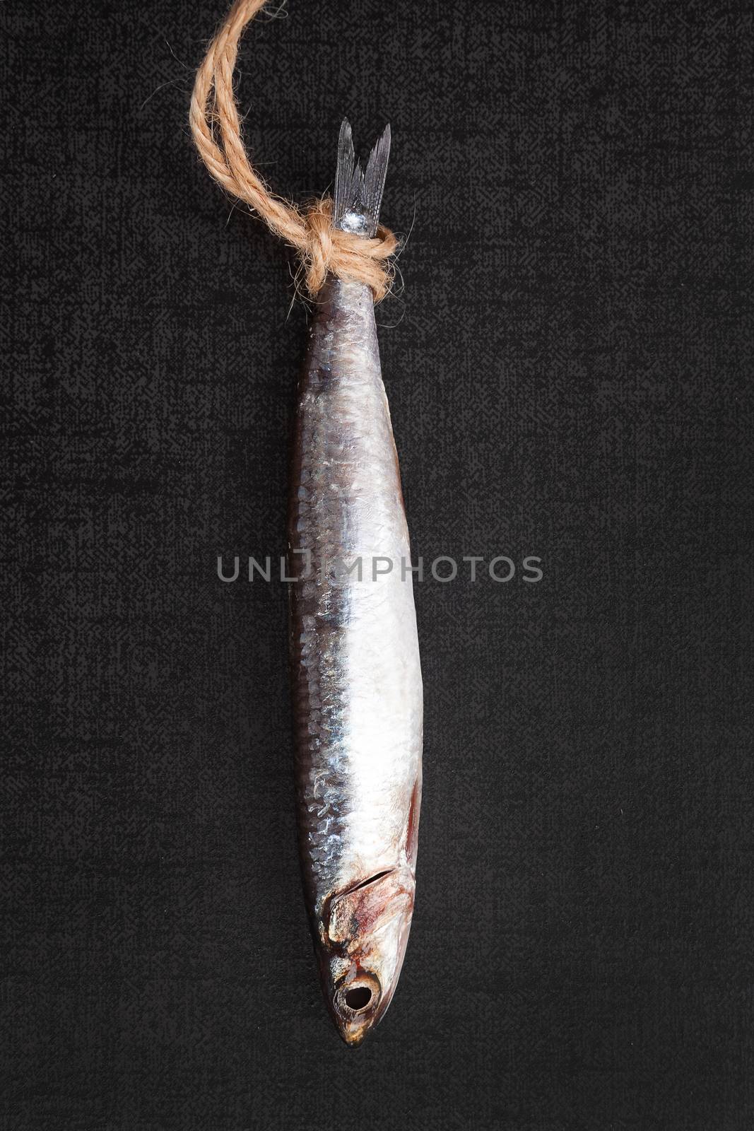 Fresh sardine fish hanging on lace against black background. Culinary seafood eating. 