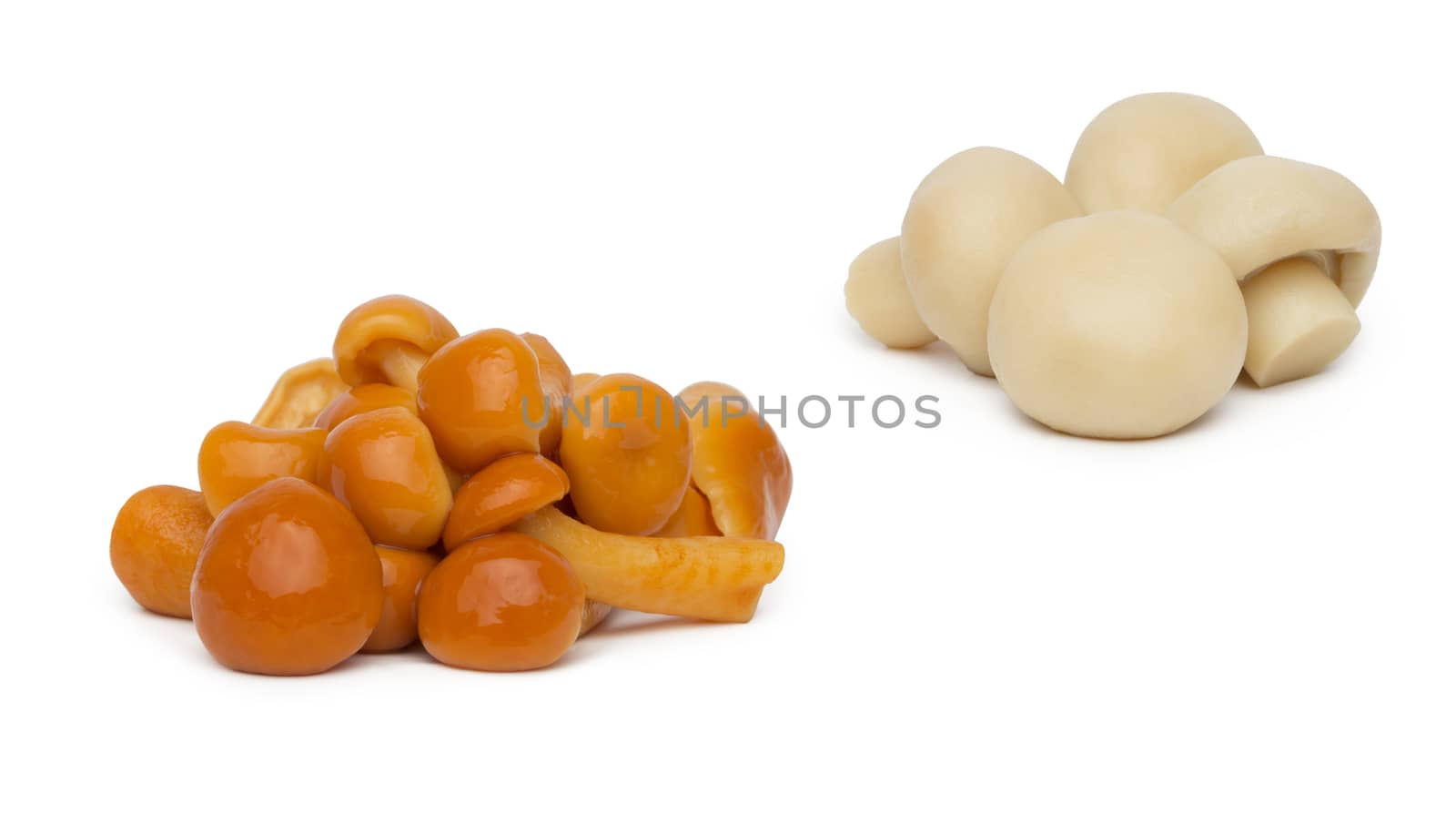 Marinated mushroom isolated on white