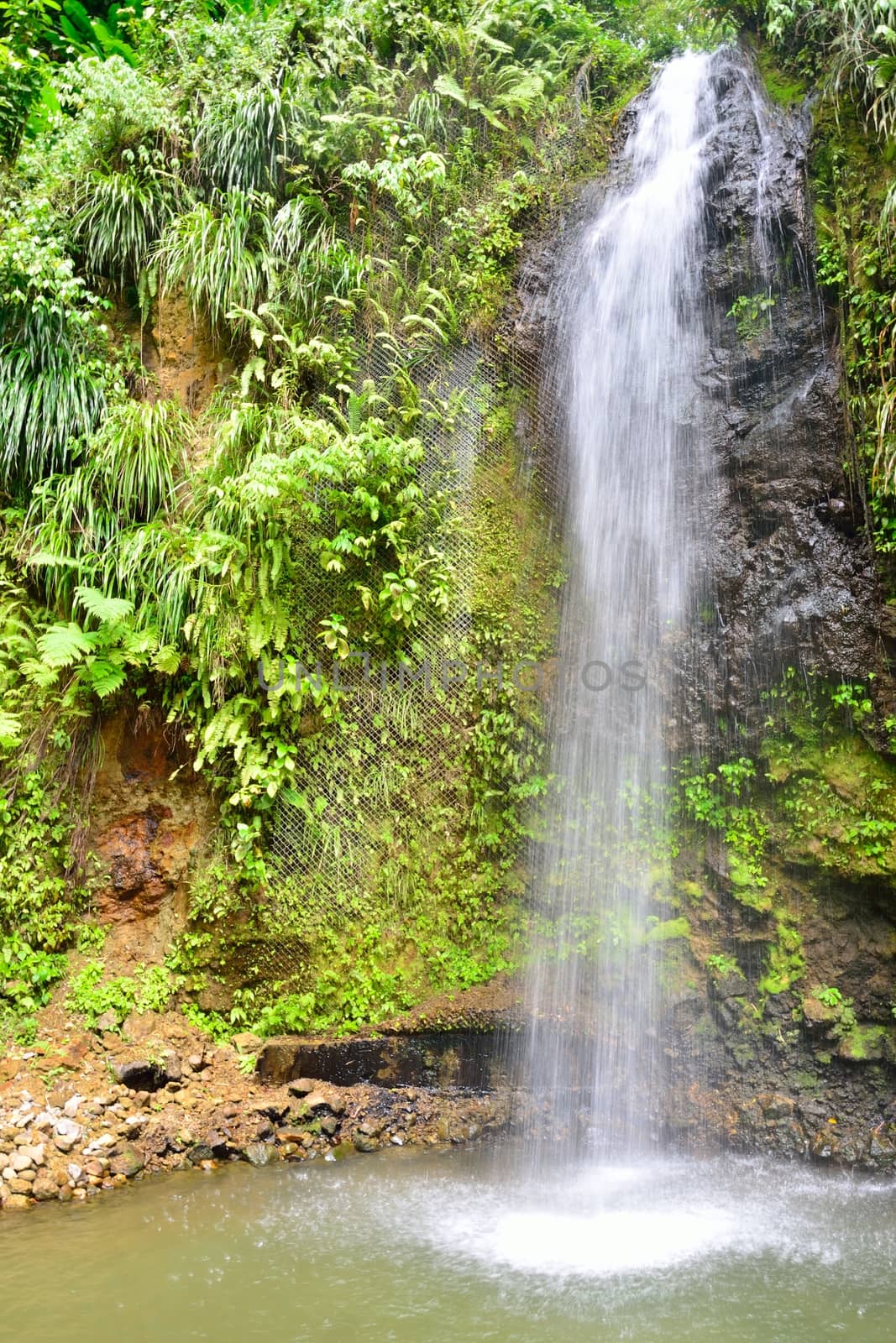 Tropical waterfall in portrait  by pauws99