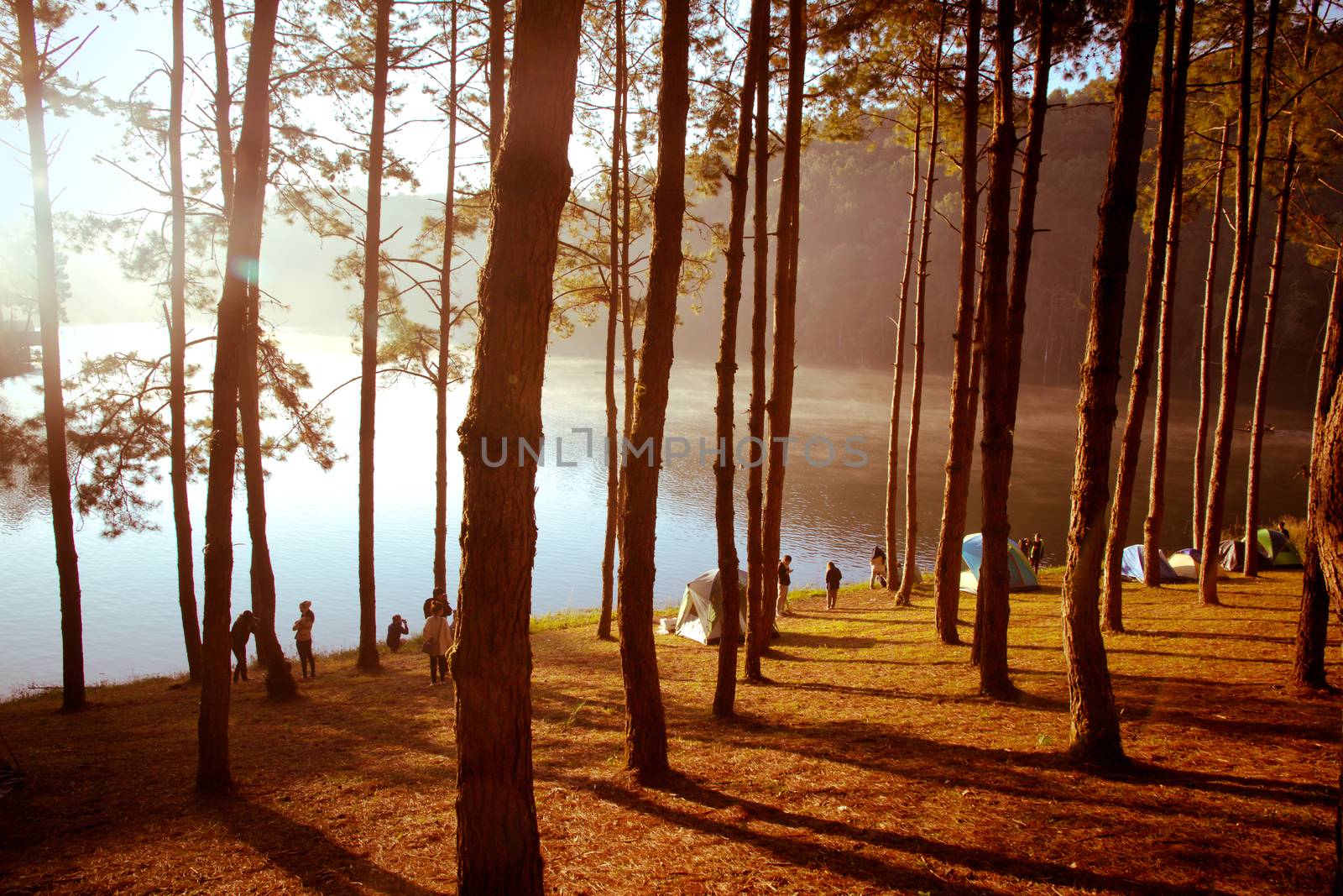Pang Tong Under Royal Forest Park ( Pang ung ) at Mae Hong Son Province,Thailand.  Pang Ung is a popular place to stay in a camping in the winter.