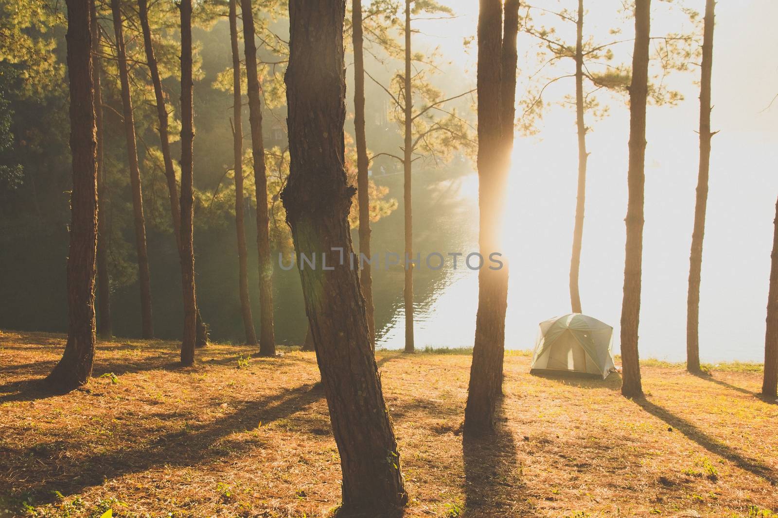 Pang Tong Under Royal Forest Park ( Pang ung ) at Mae Hong Son Province,Thailand.  Pang Ung is a popular place to stay in a camping in the winter.