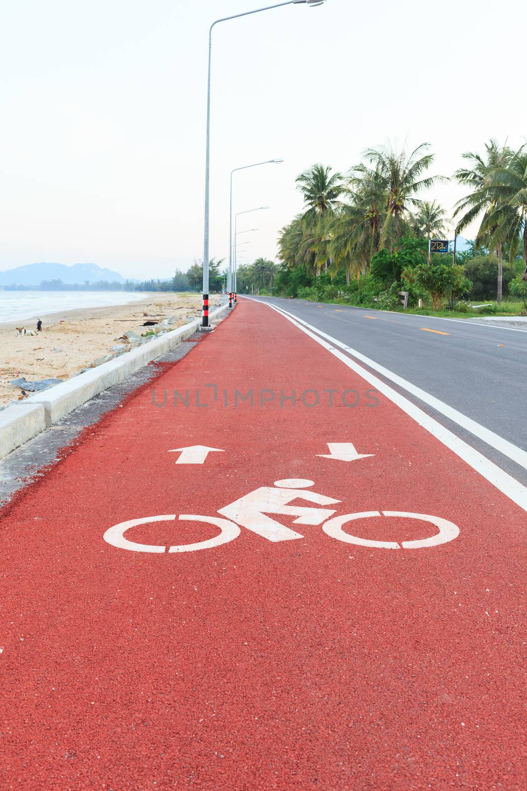 Bicycle lane or path, icon symbol on red asphalt road by FrameAngel