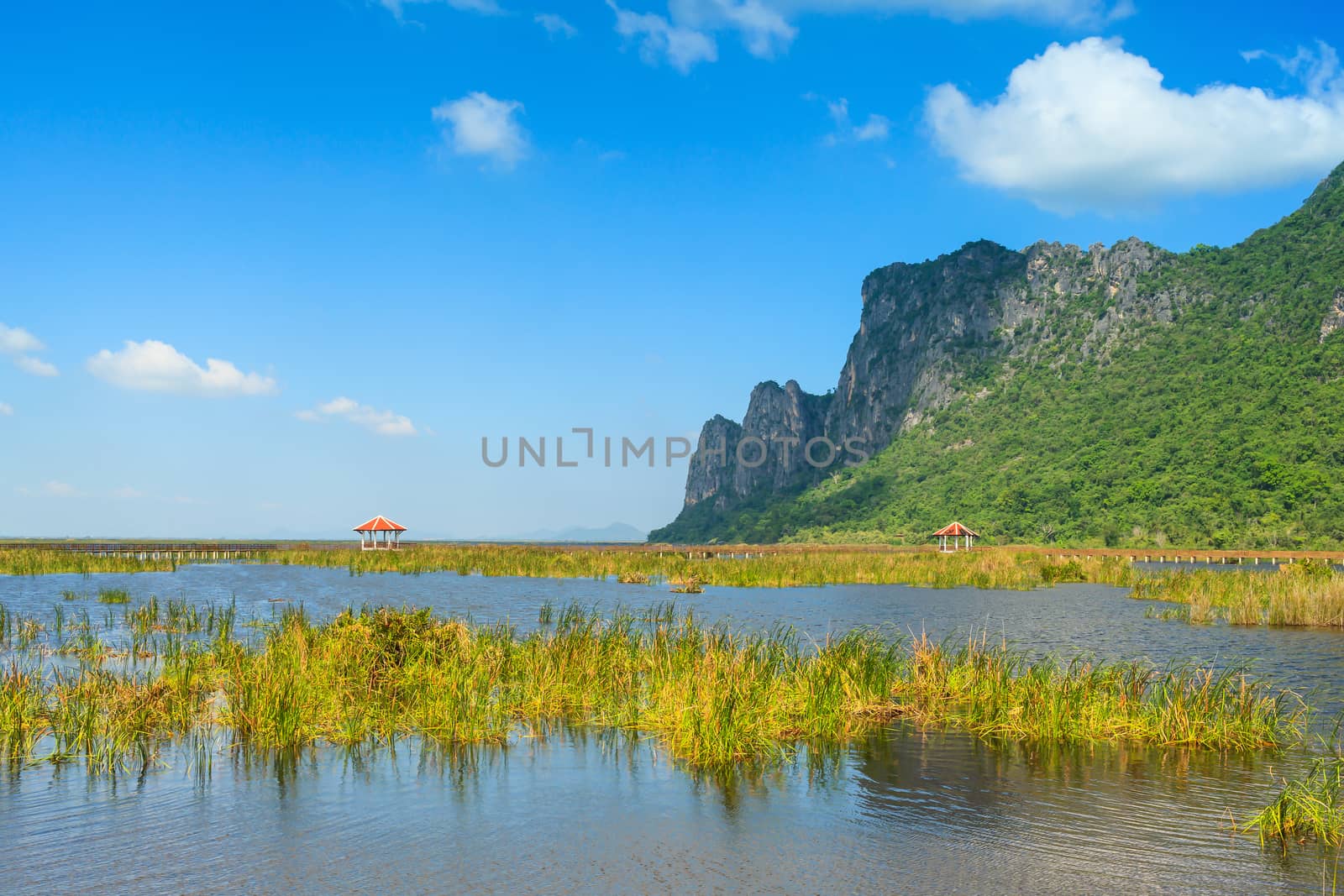 lake at Sam Roi Yod National Park, Prachuap Khiri Khan, Thailand