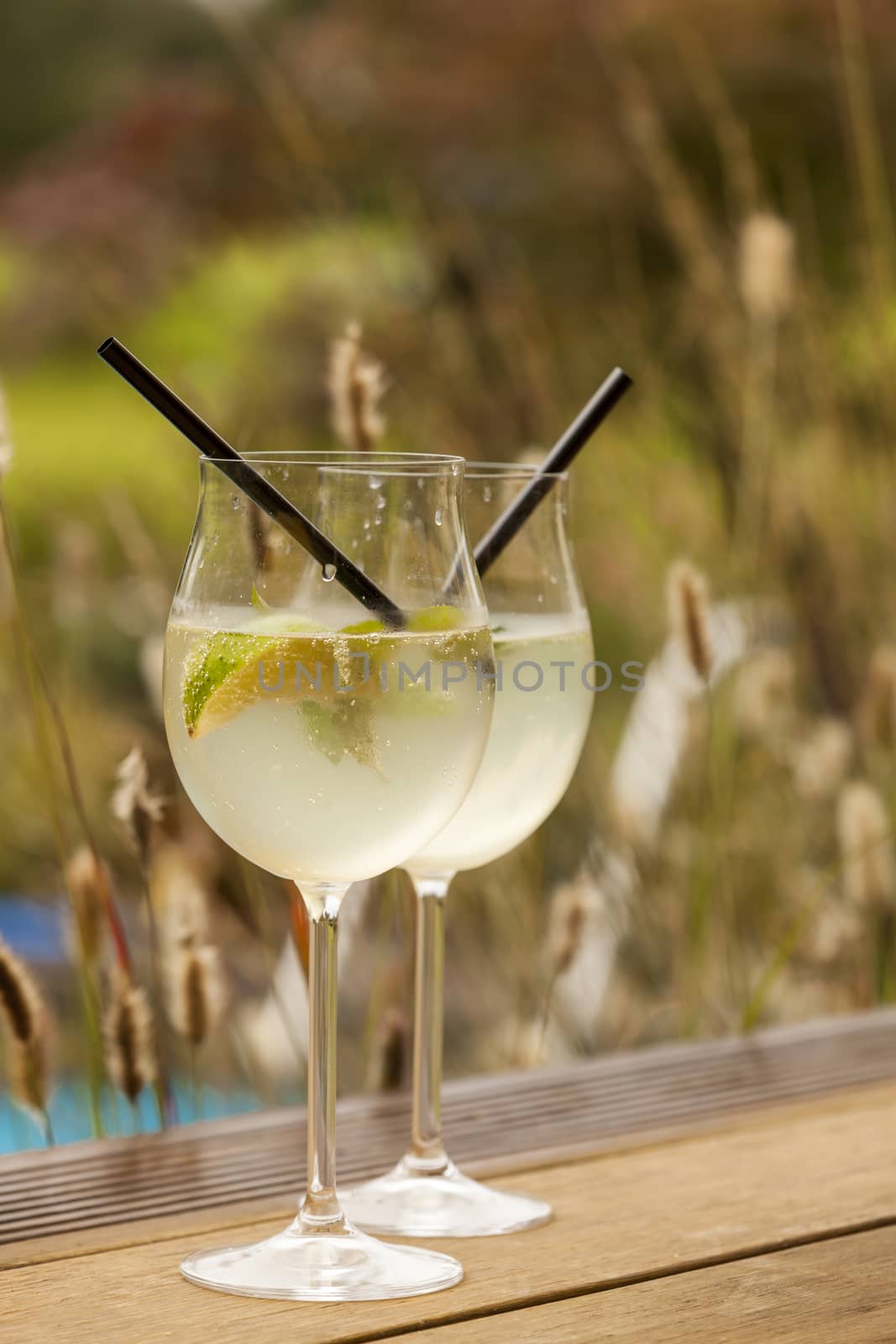 hugo prosecco elderflower soda ice summer drink outdoor aperitif