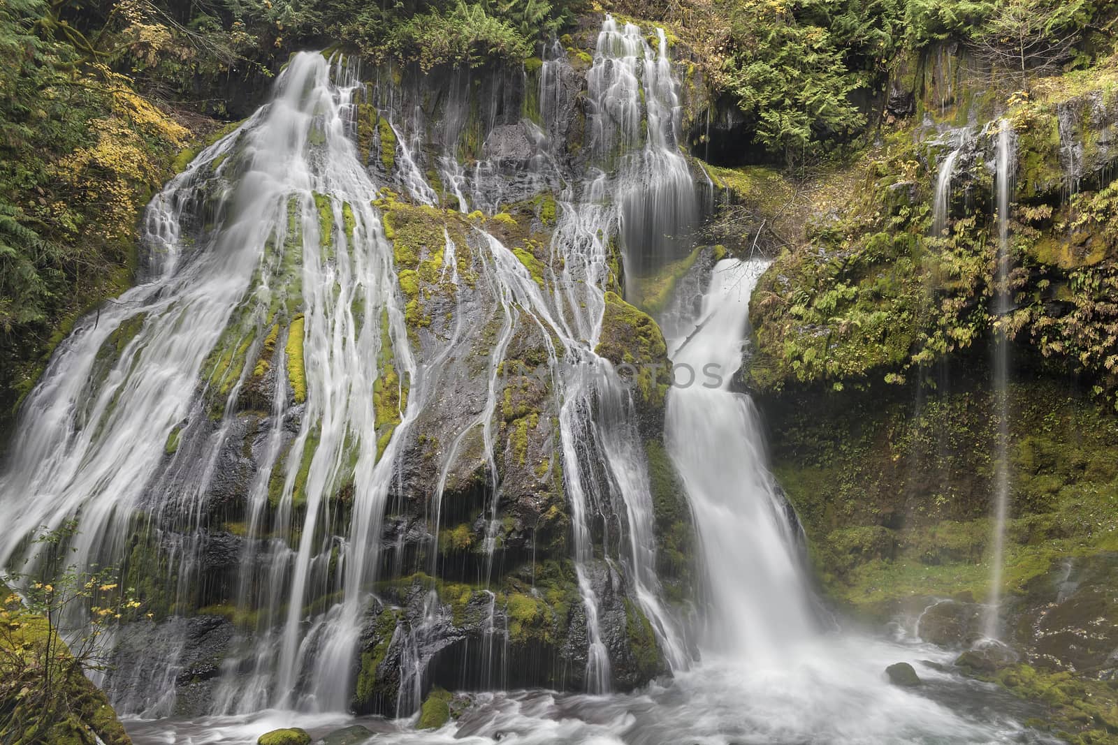 Bottom of Panther Creek Falls in Washington State Forest