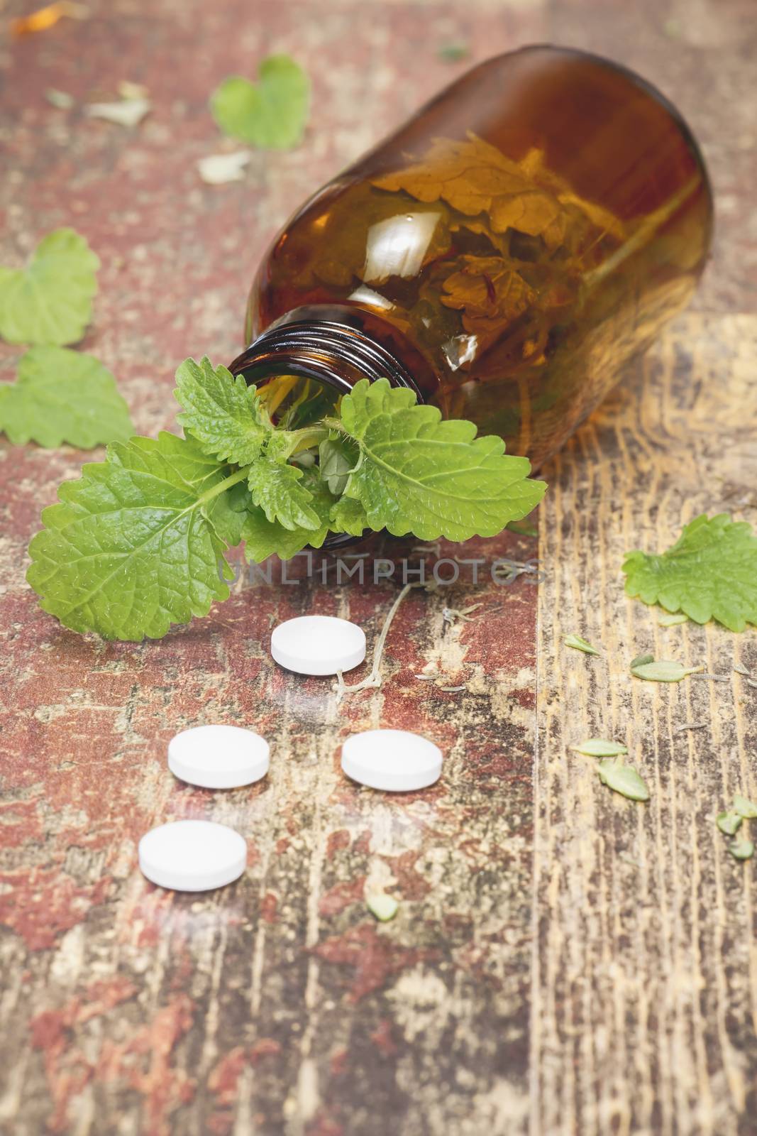 Lemon Balm. Bottle with tablets and herbal on wooden table by Slast20